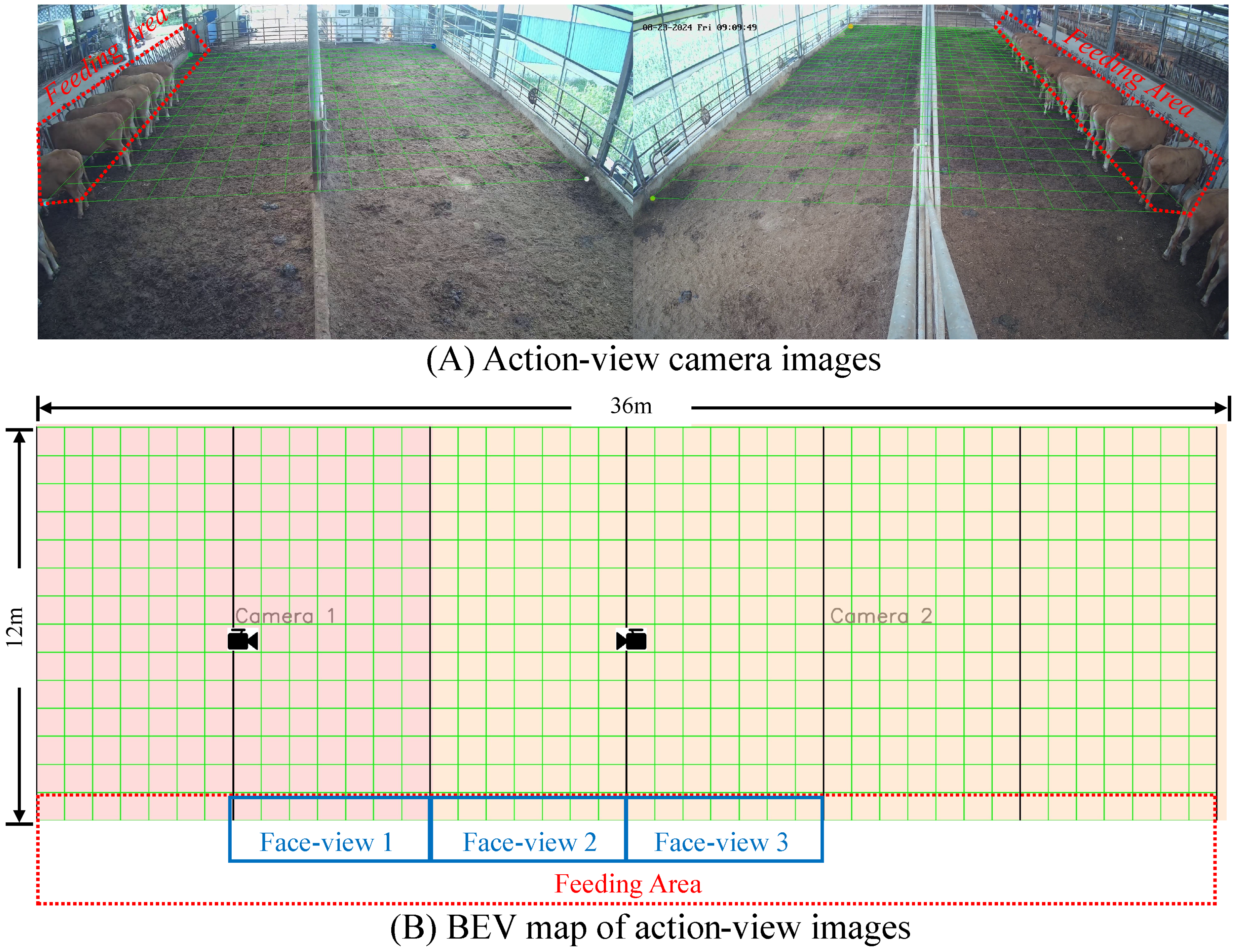 Agriculture 15 01970 g005