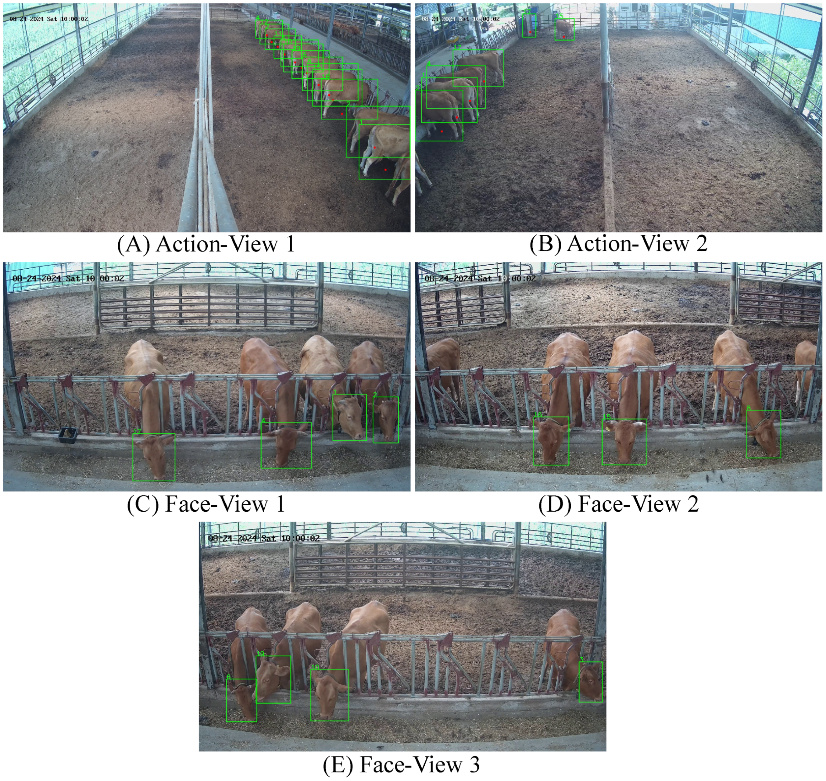 Agriculture 15 01970 g010