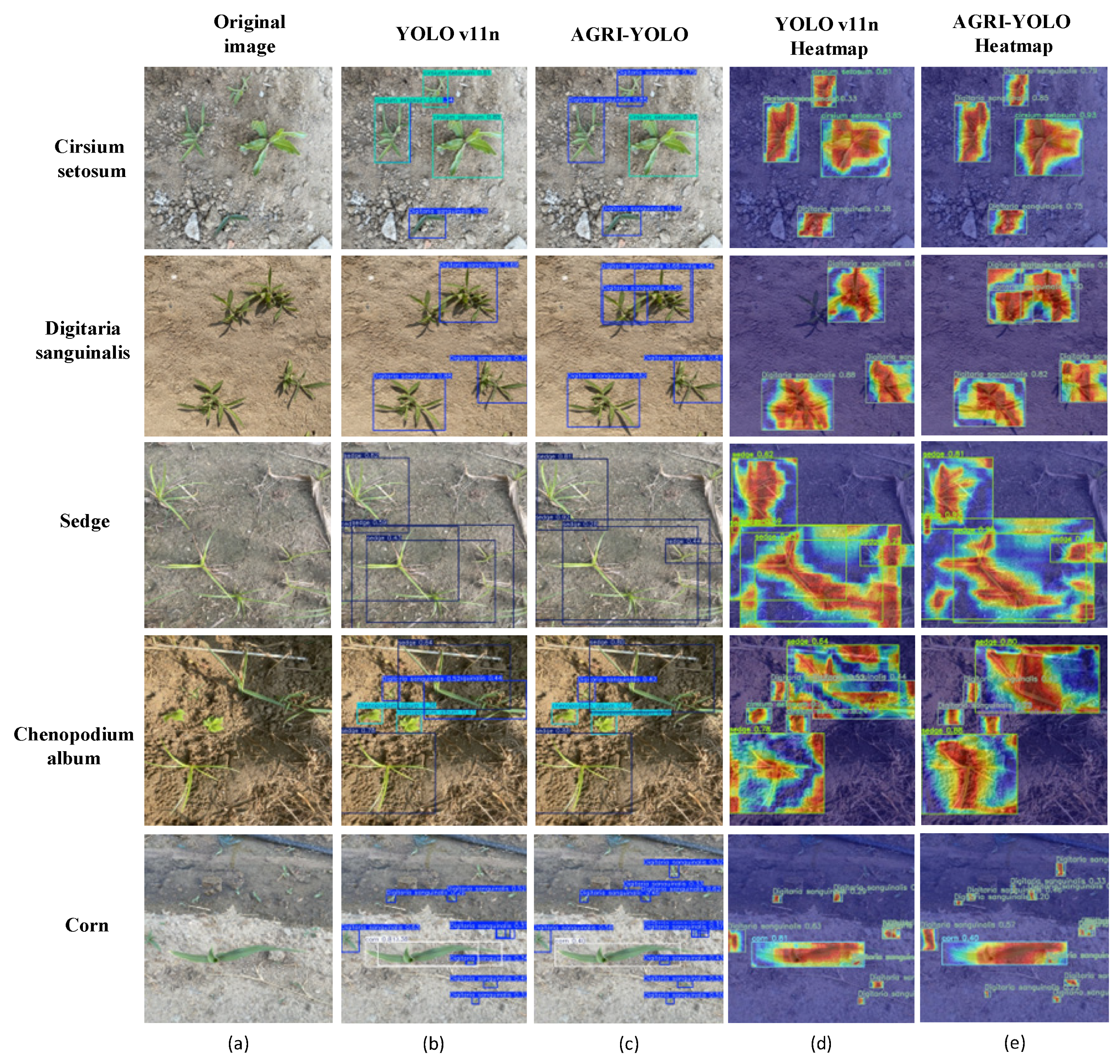 Agriculture 15 01971 g013