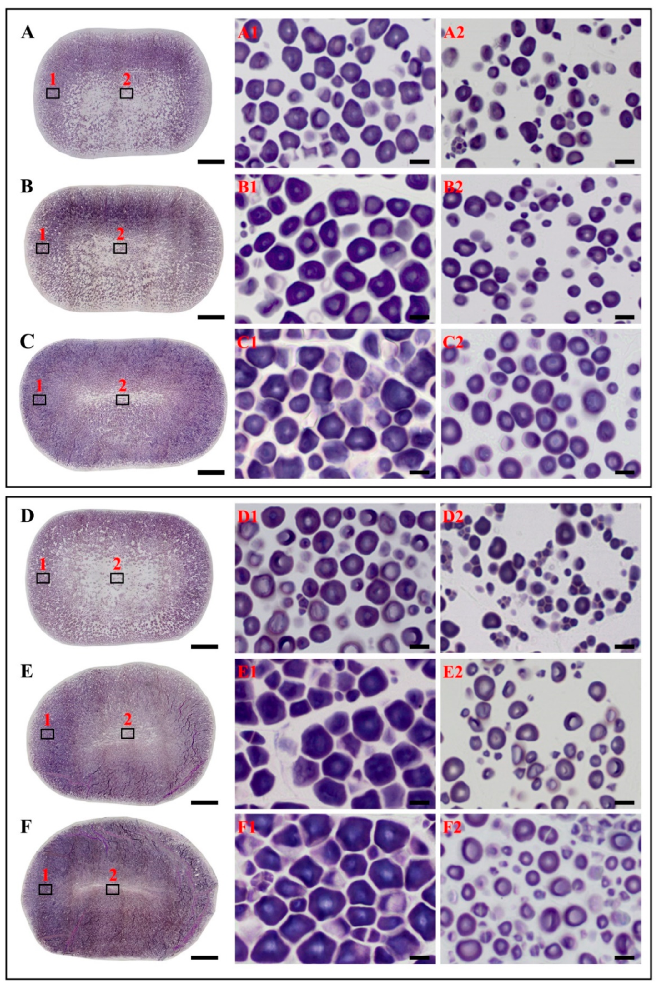 Agriculture 15 01978 g001 Agriculture 15 01978 g001