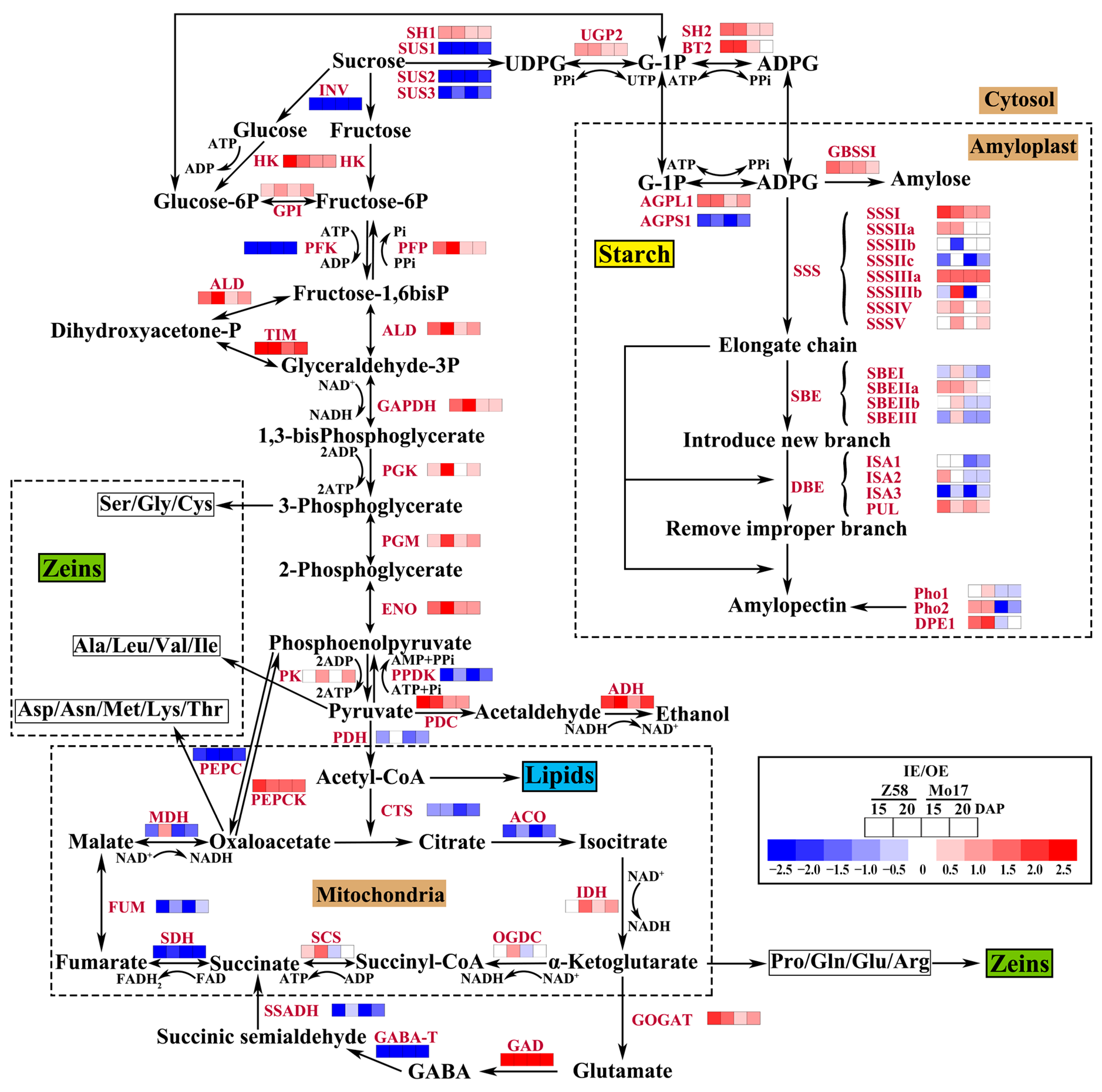 Agriculture 15 01978 g003 Agriculture 15 01978 g003