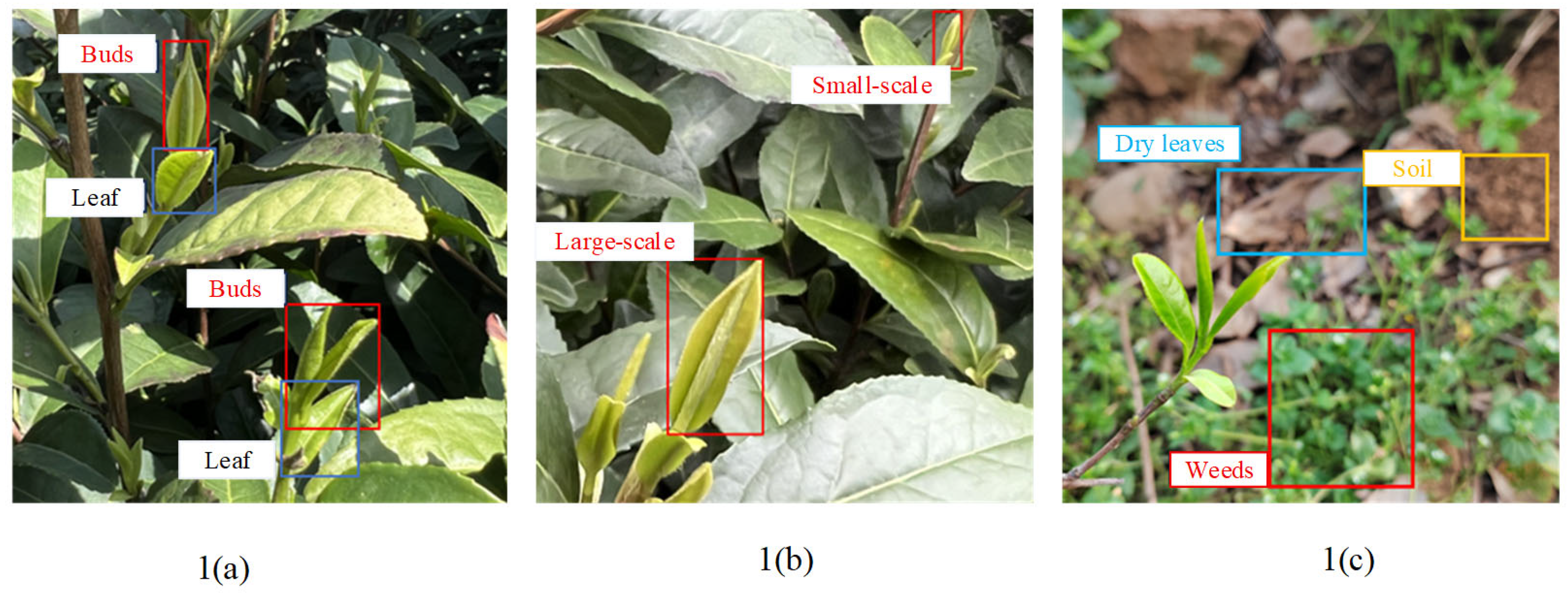 Agriculture 15 01982 g001