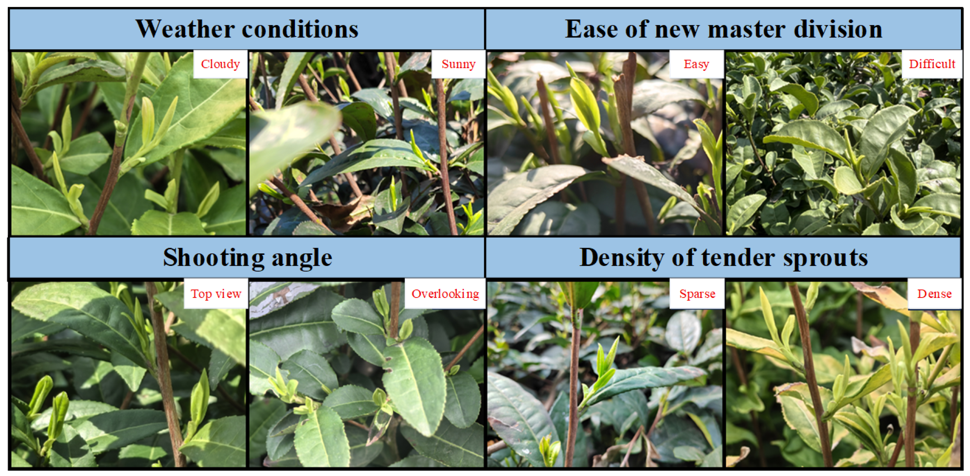 Agriculture 15 01982 g009