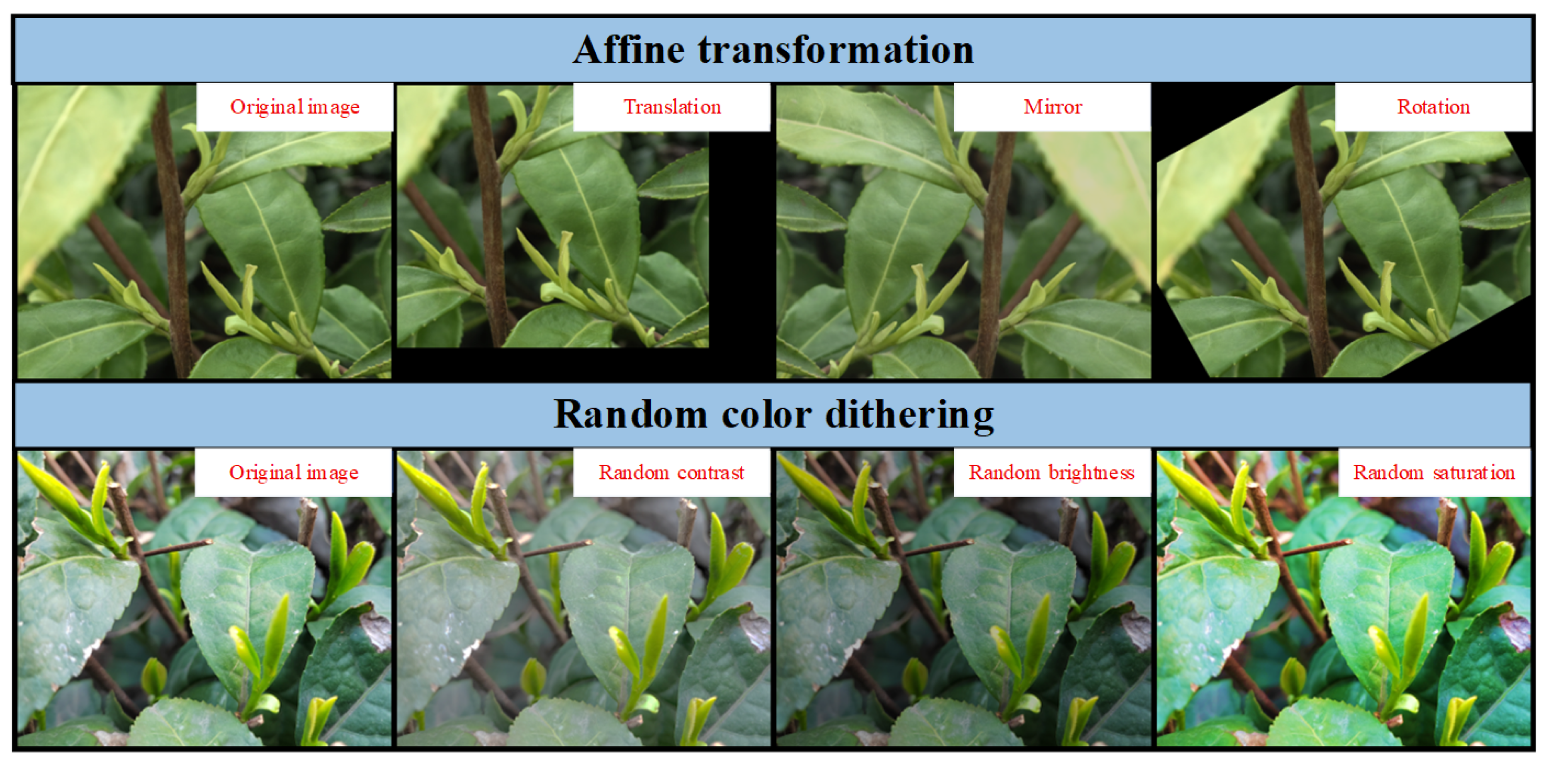 Agriculture 15 01982 g010