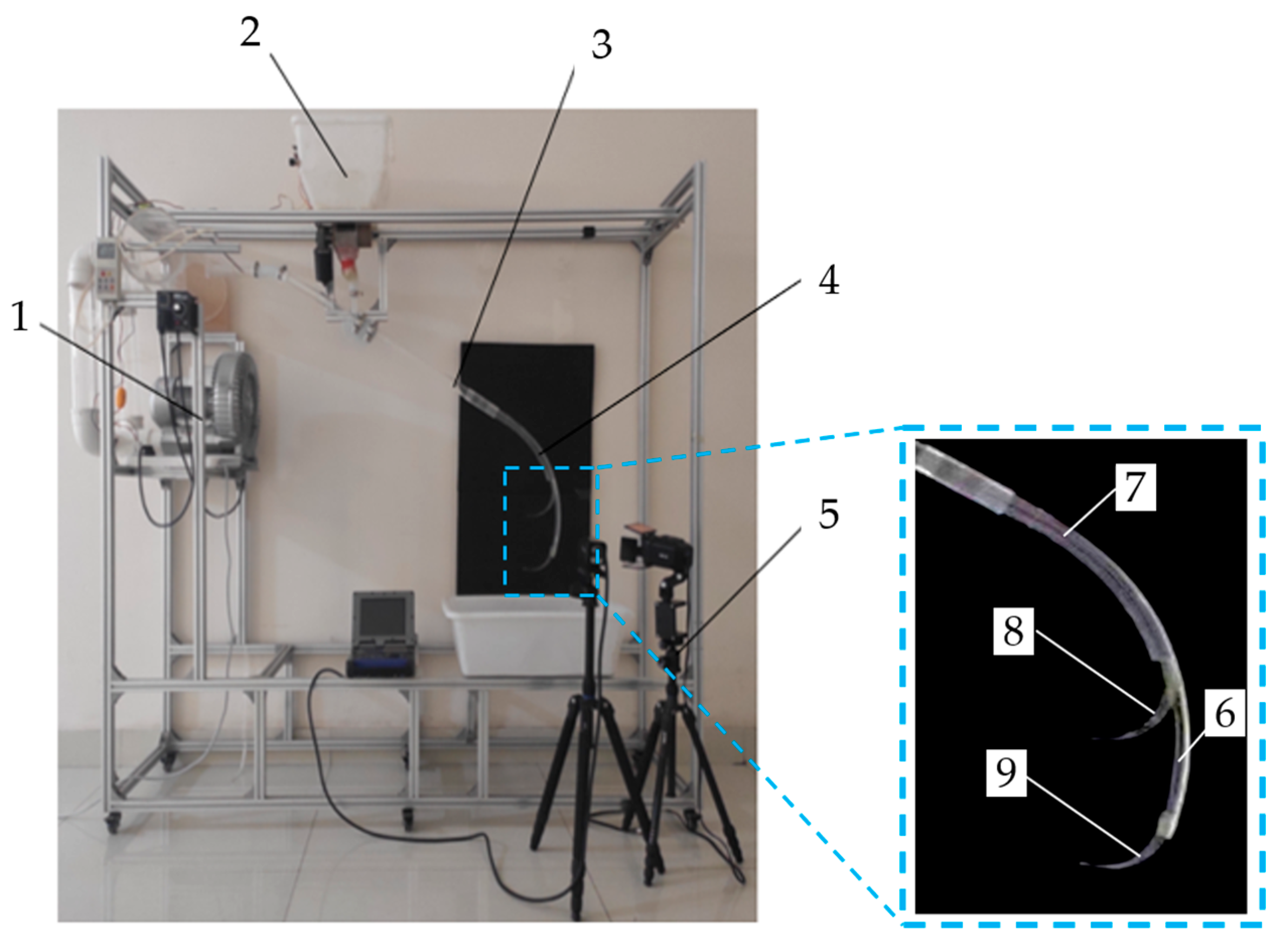 Agriculture 15 01991 g004
