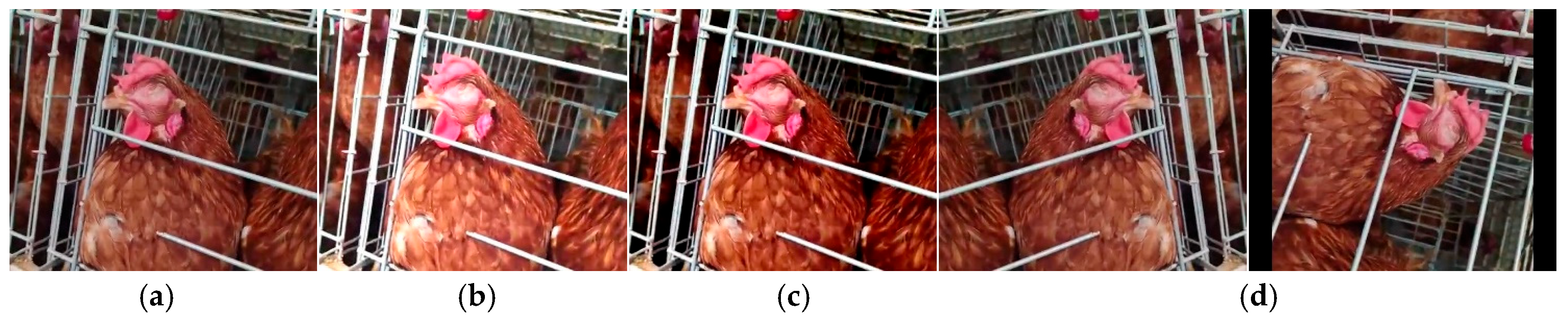 Agriculture 15 01996 g003 Agriculture 15 01996 g003