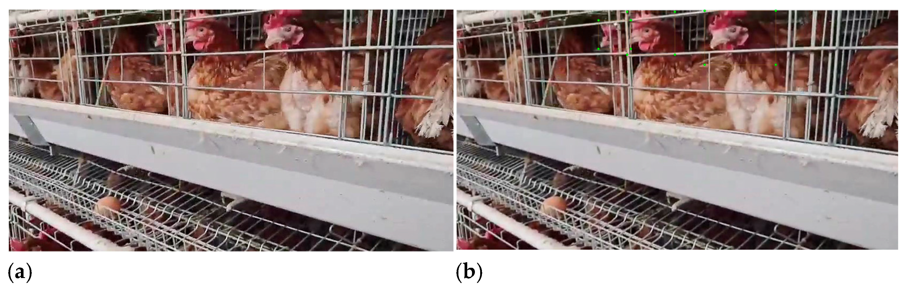 Agriculture 15 01996 g004 Agriculture 15 01996 g004