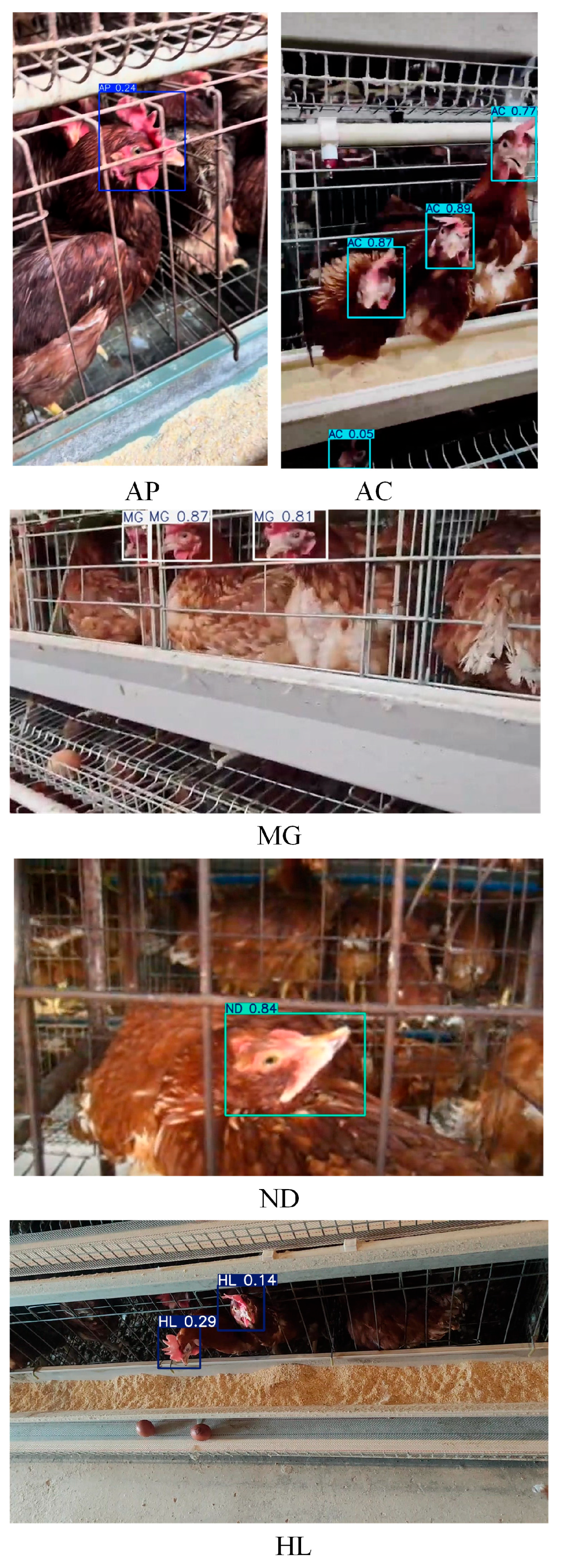 Agriculture 15 01996 g011 Agriculture 15 01996 g011