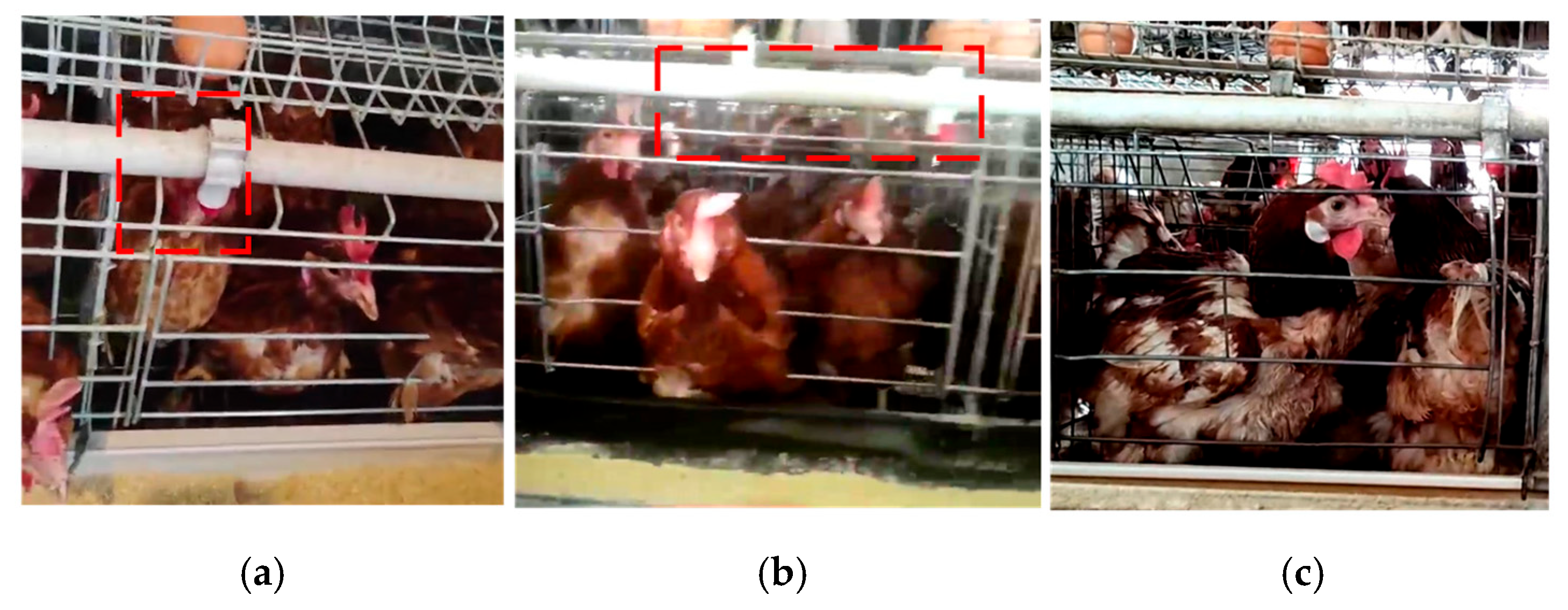 Agriculture 15 01996 g019 Agriculture 15 01996 g019