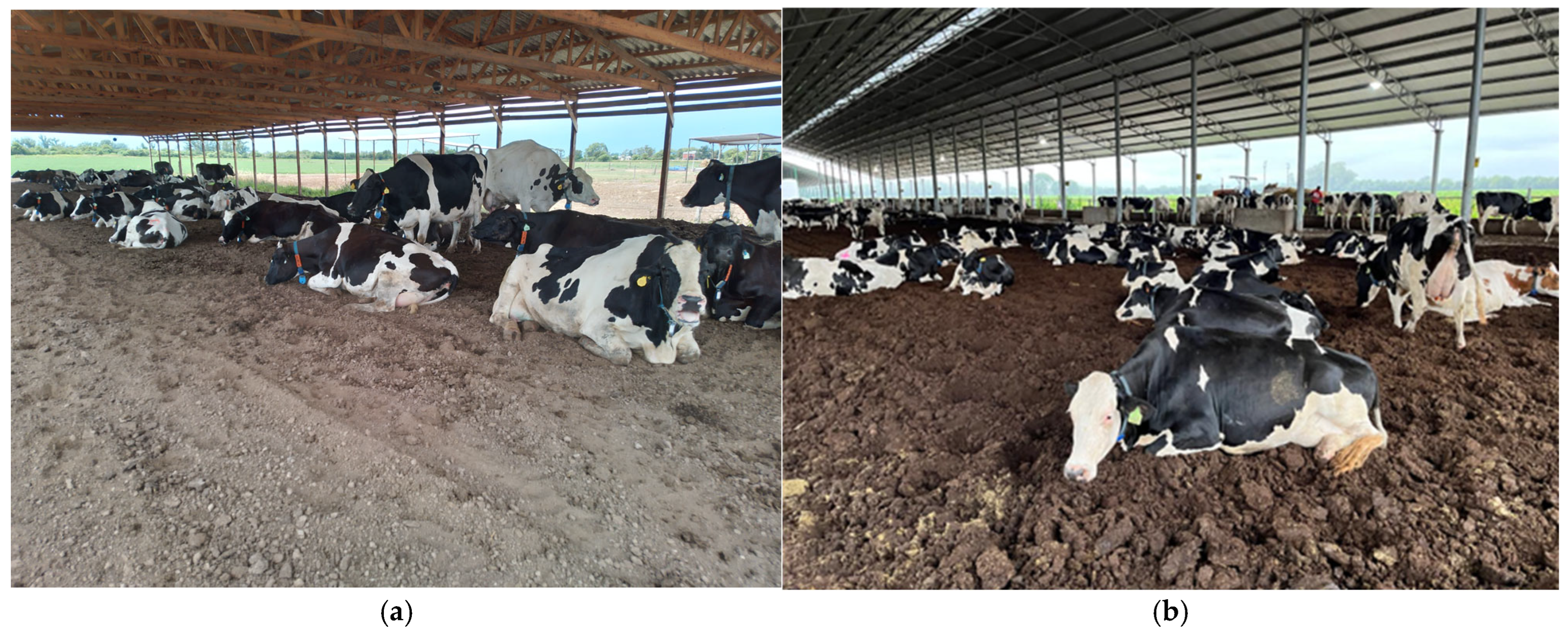 Agriculture 15 01998 g001