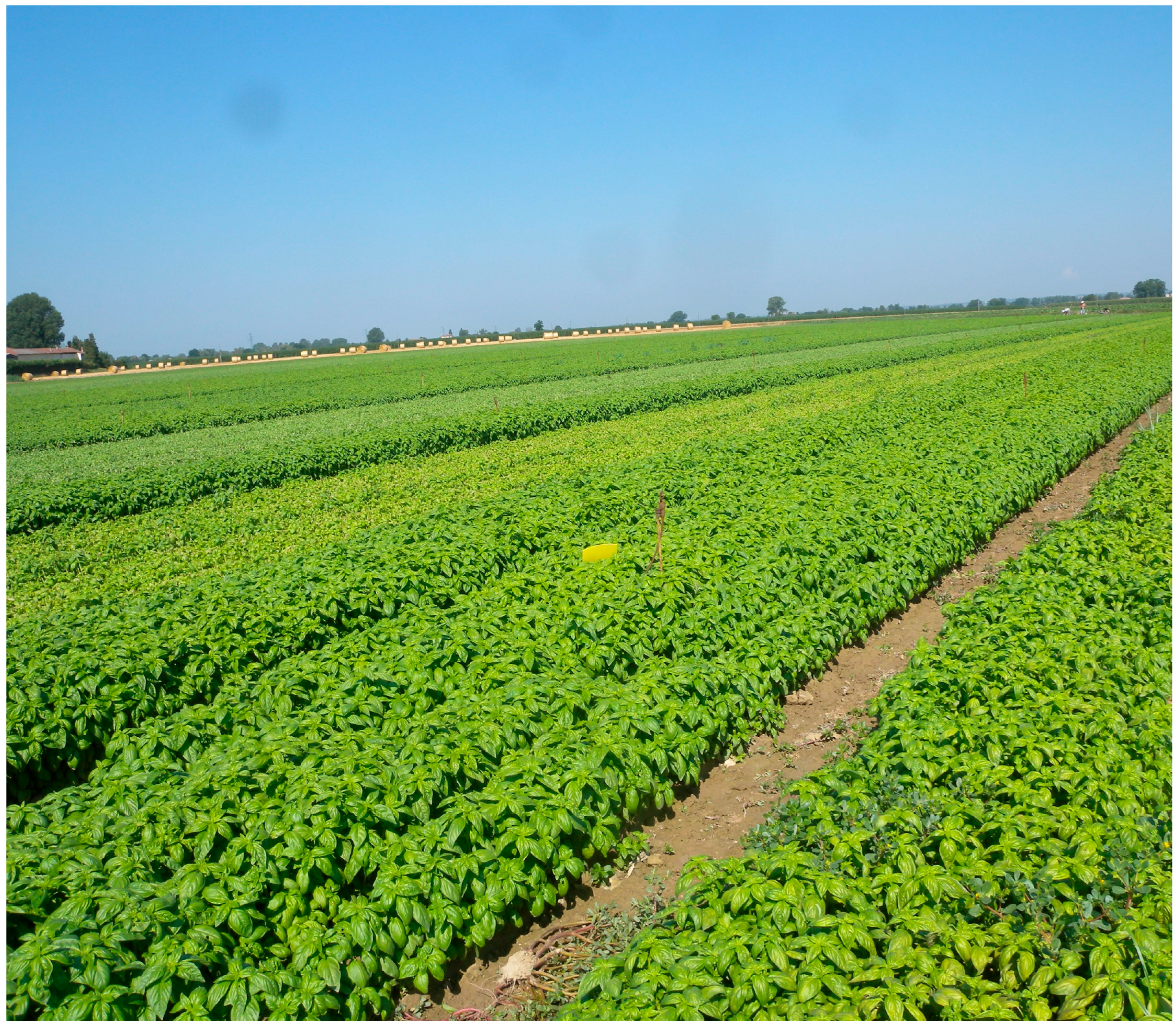 Agriculture 15 01999 g001 Agriculture 15 01999 g001