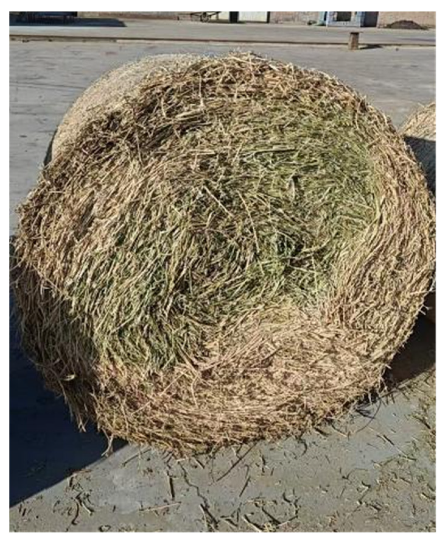 Agriculture 15 02000 g008