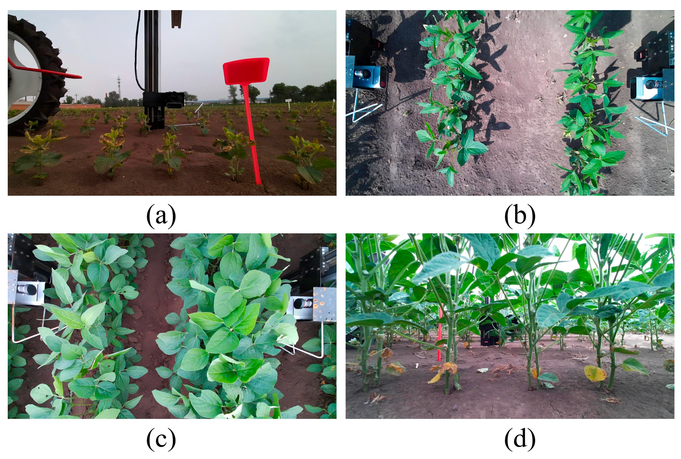 Agriculture 15 02001 g003 Agriculture 15 02001 g003
