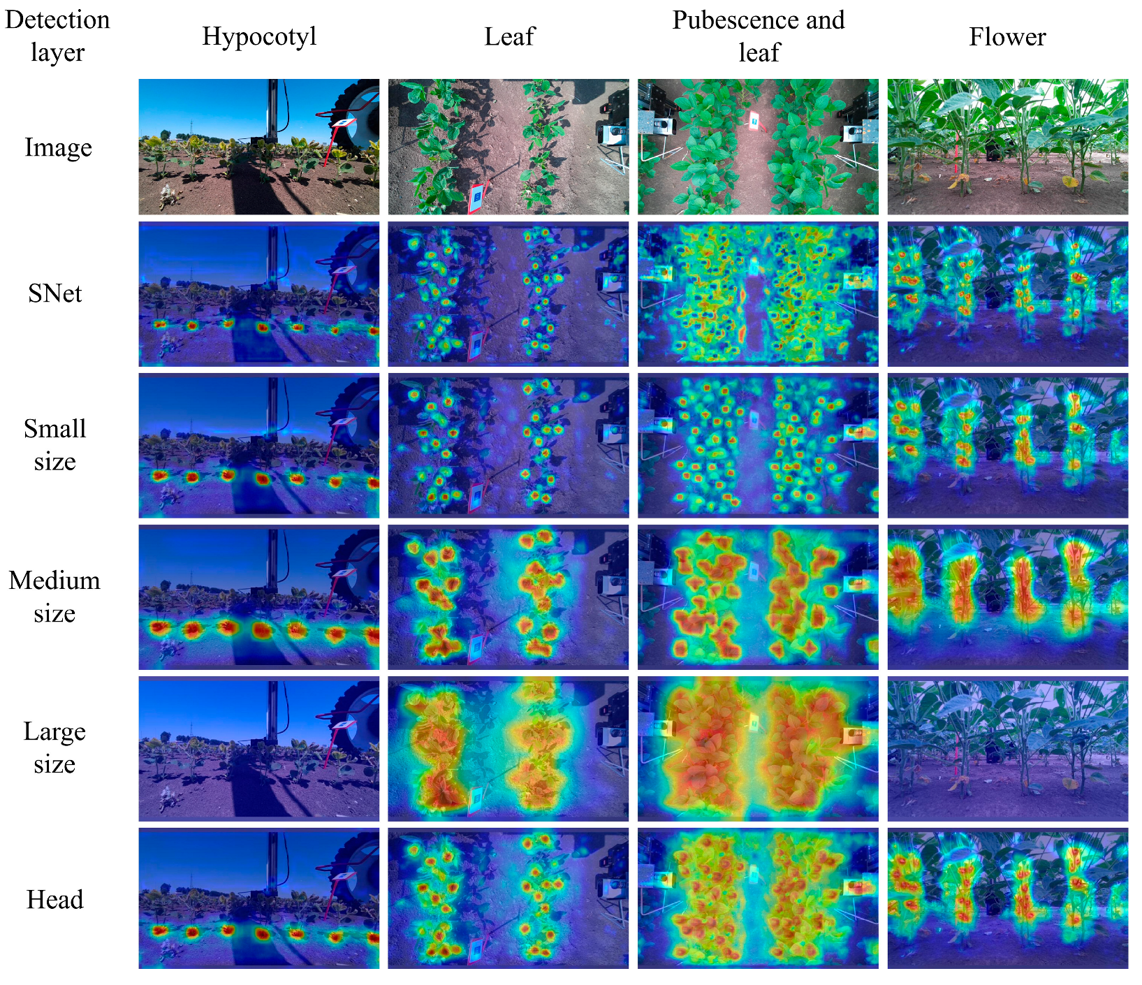 Agriculture 15 02001 g018 Agriculture 15 02001 g018