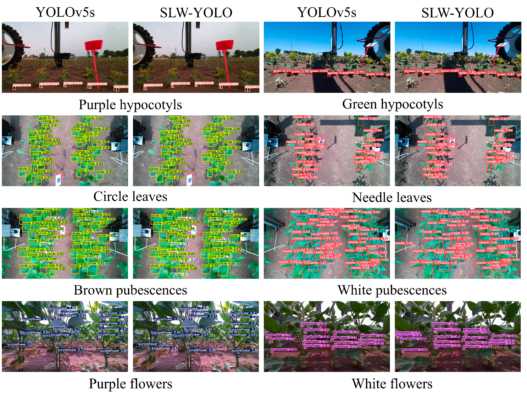 Agriculture 15 02001 g019 Agriculture 15 02001 g019