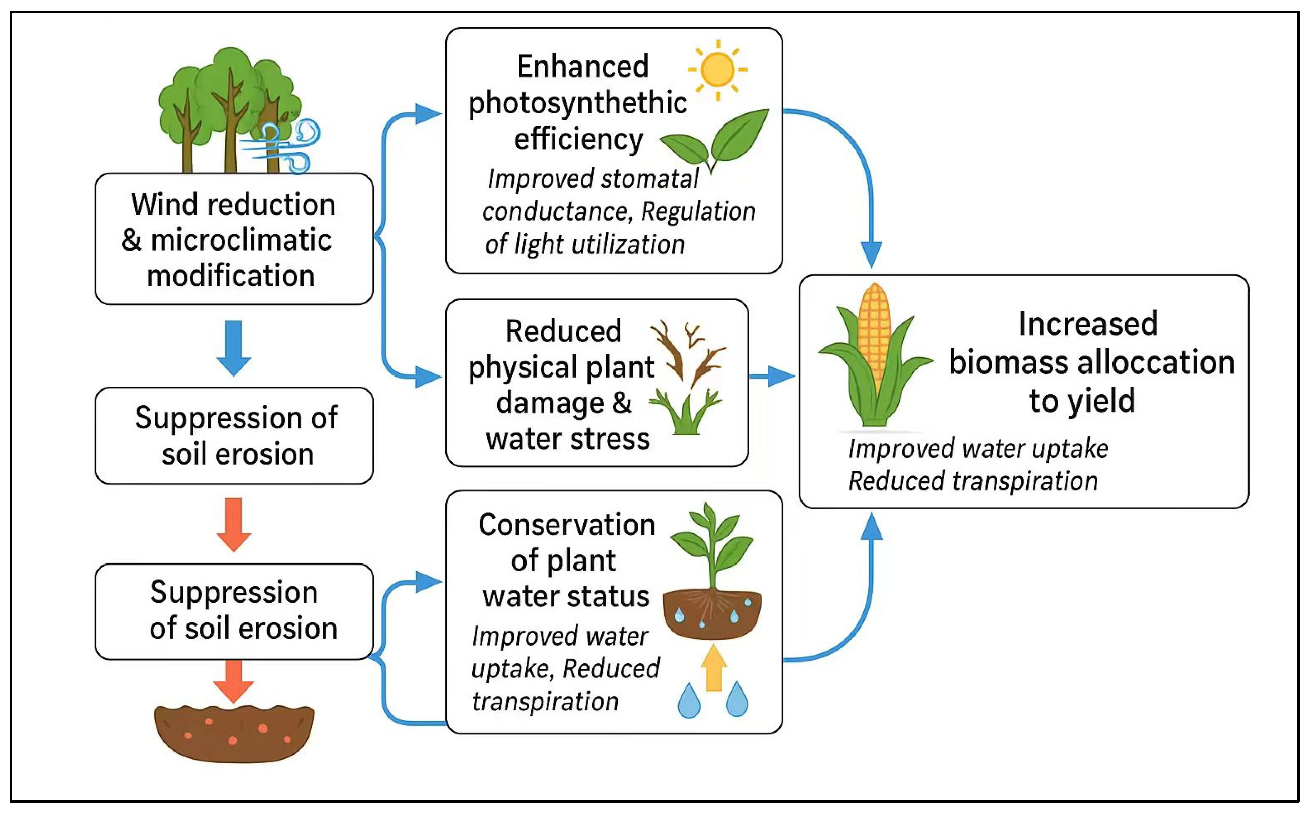 Agriculture 15 02004 g002