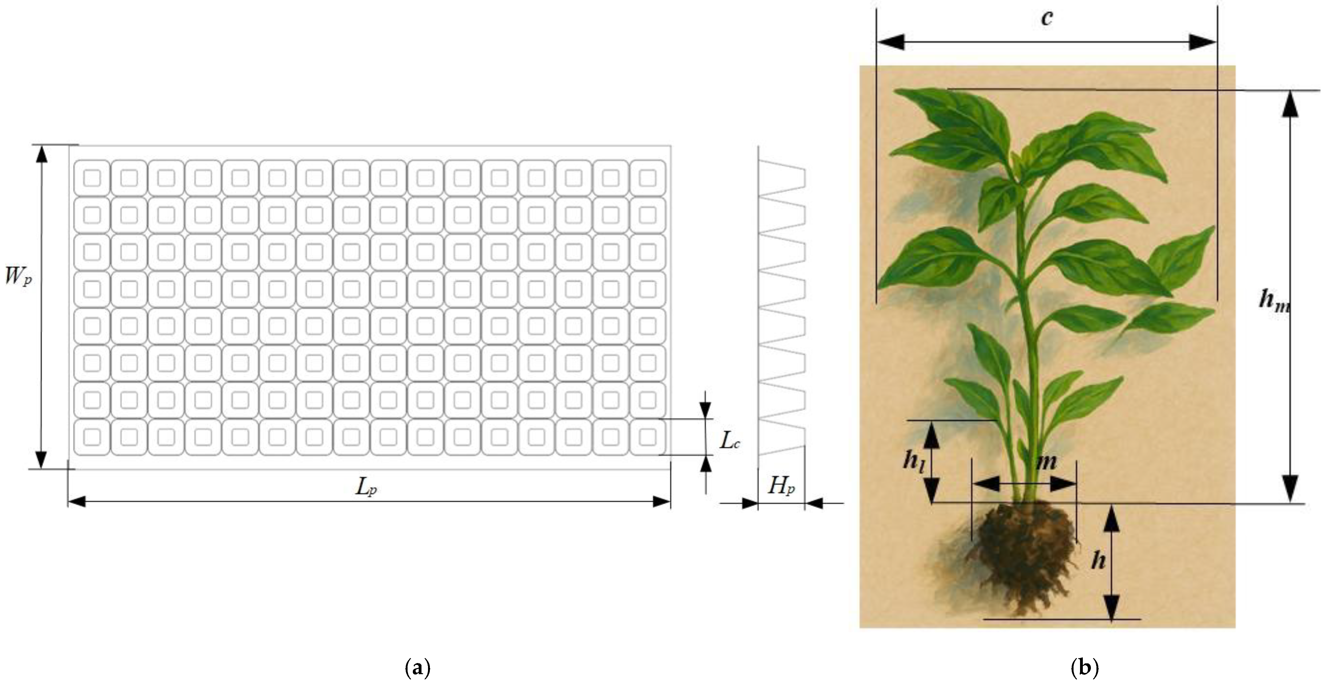 Agriculture 15 02026 g002 Agriculture 15 02026 g002