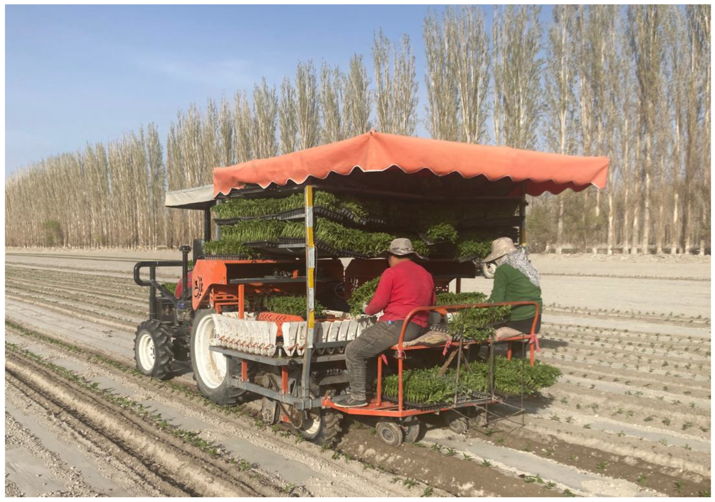 Agriculture 15 02026 g019 Agriculture 15 02026 g019