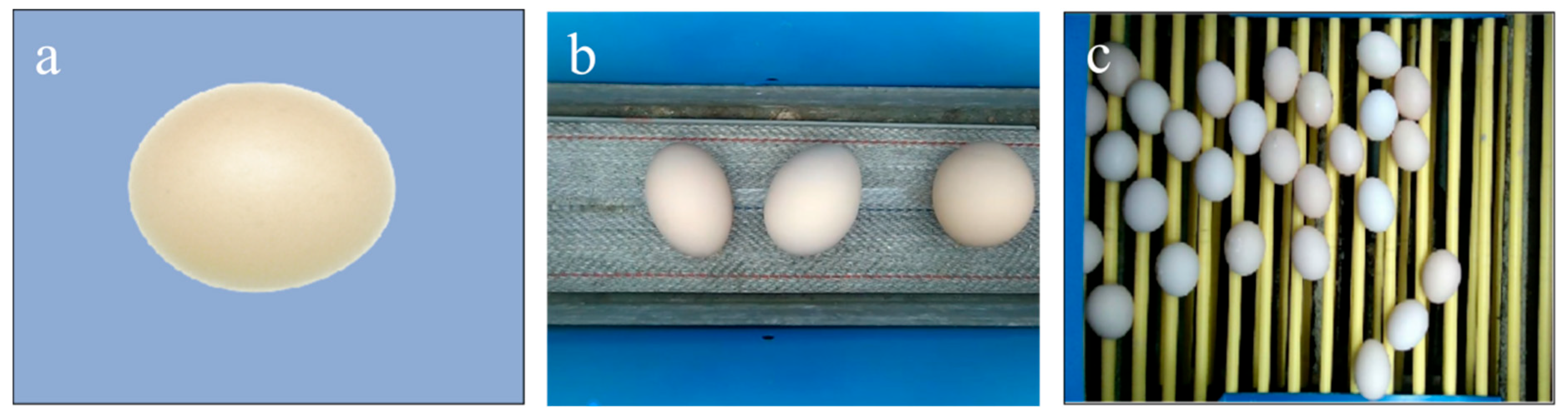 Agriculture 15 02035 g001