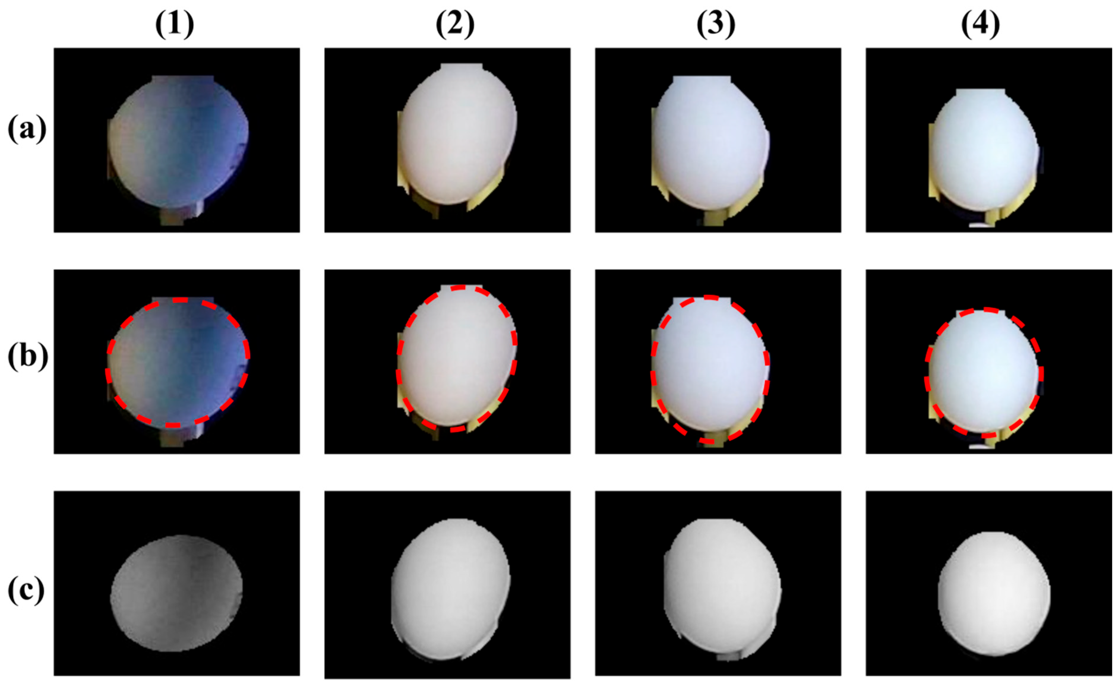 Agriculture 15 02035 g007
