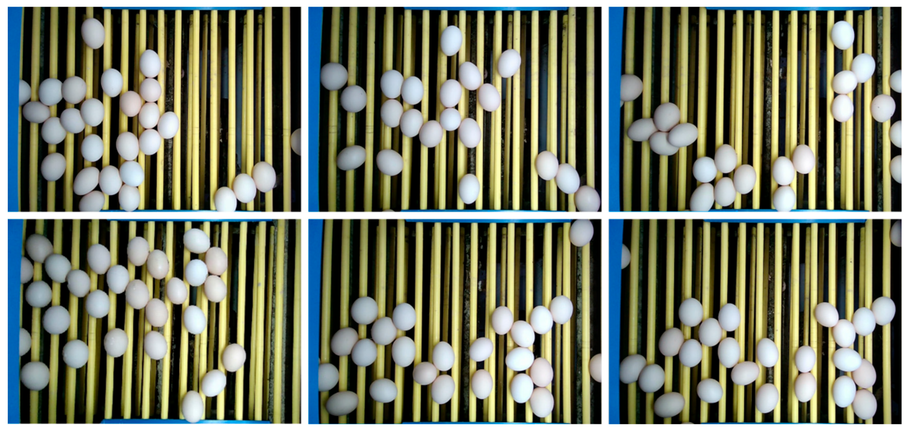 Agriculture 15 02035 g011