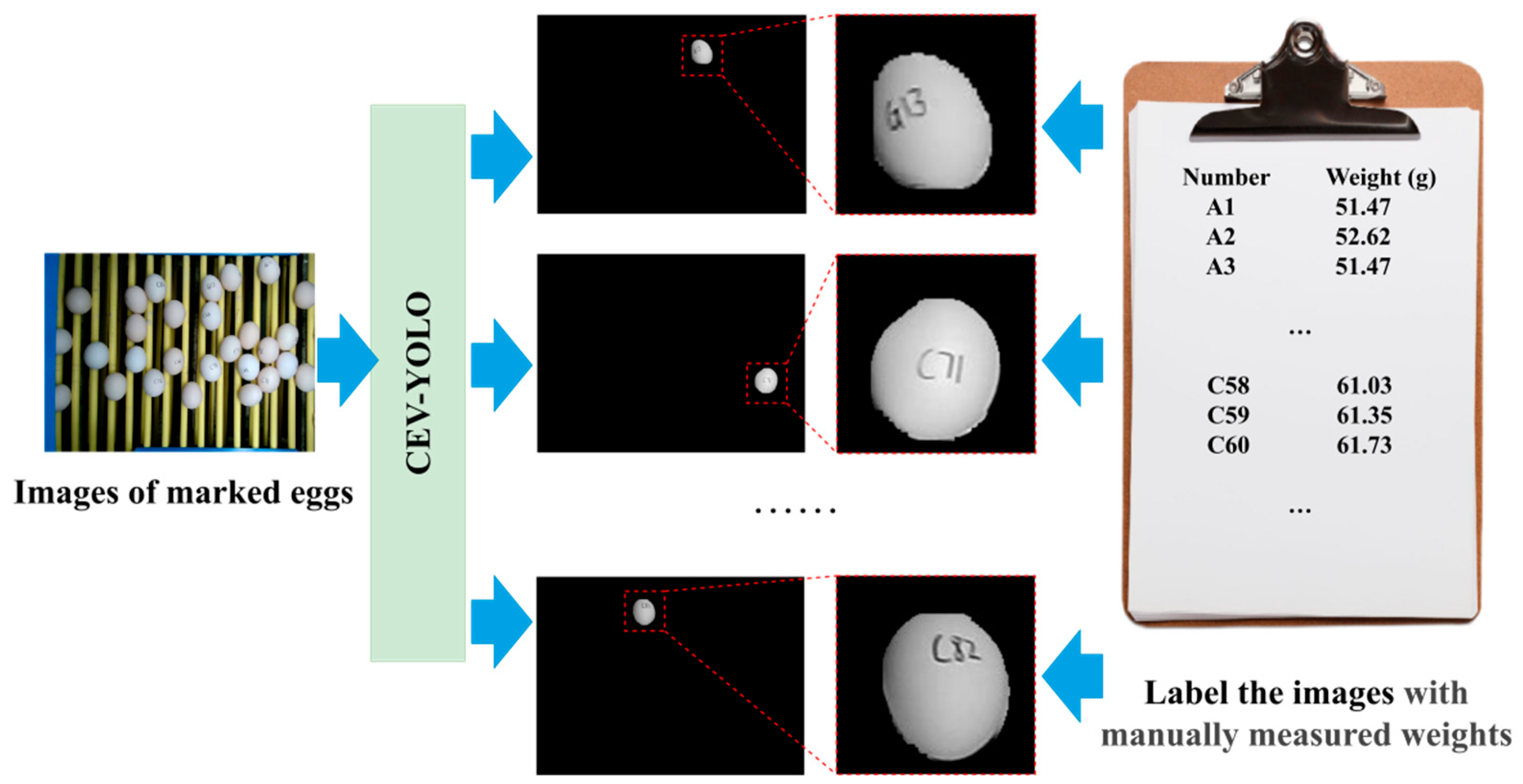 Agriculture 15 02035 g012
