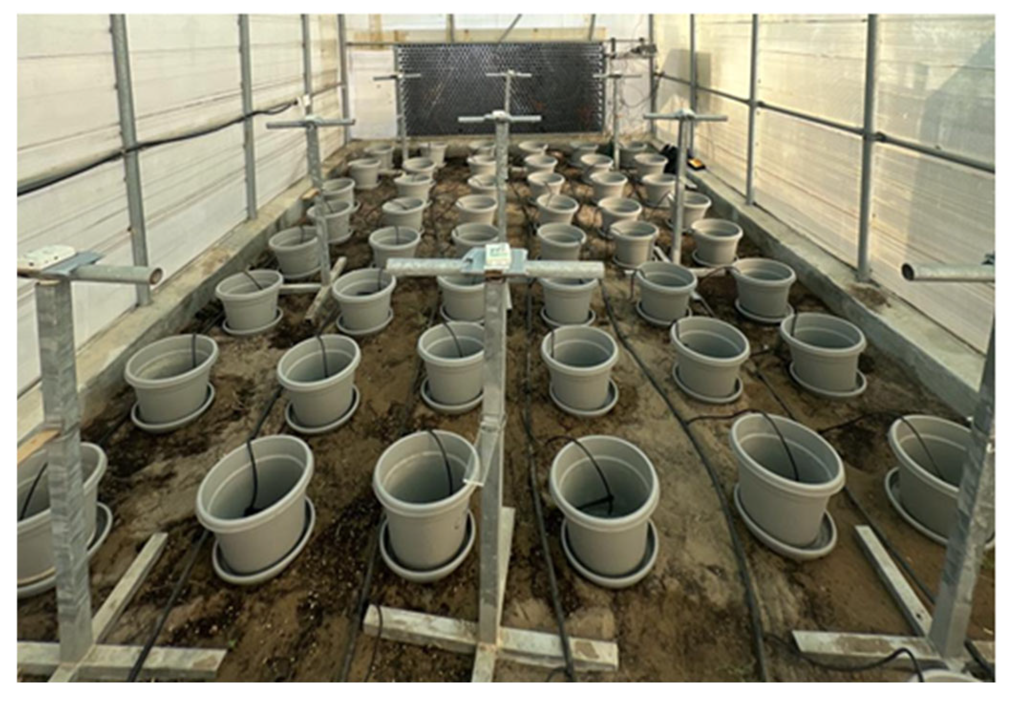 Agriculture 15 02044 g004 Agriculture 15 02044 g004