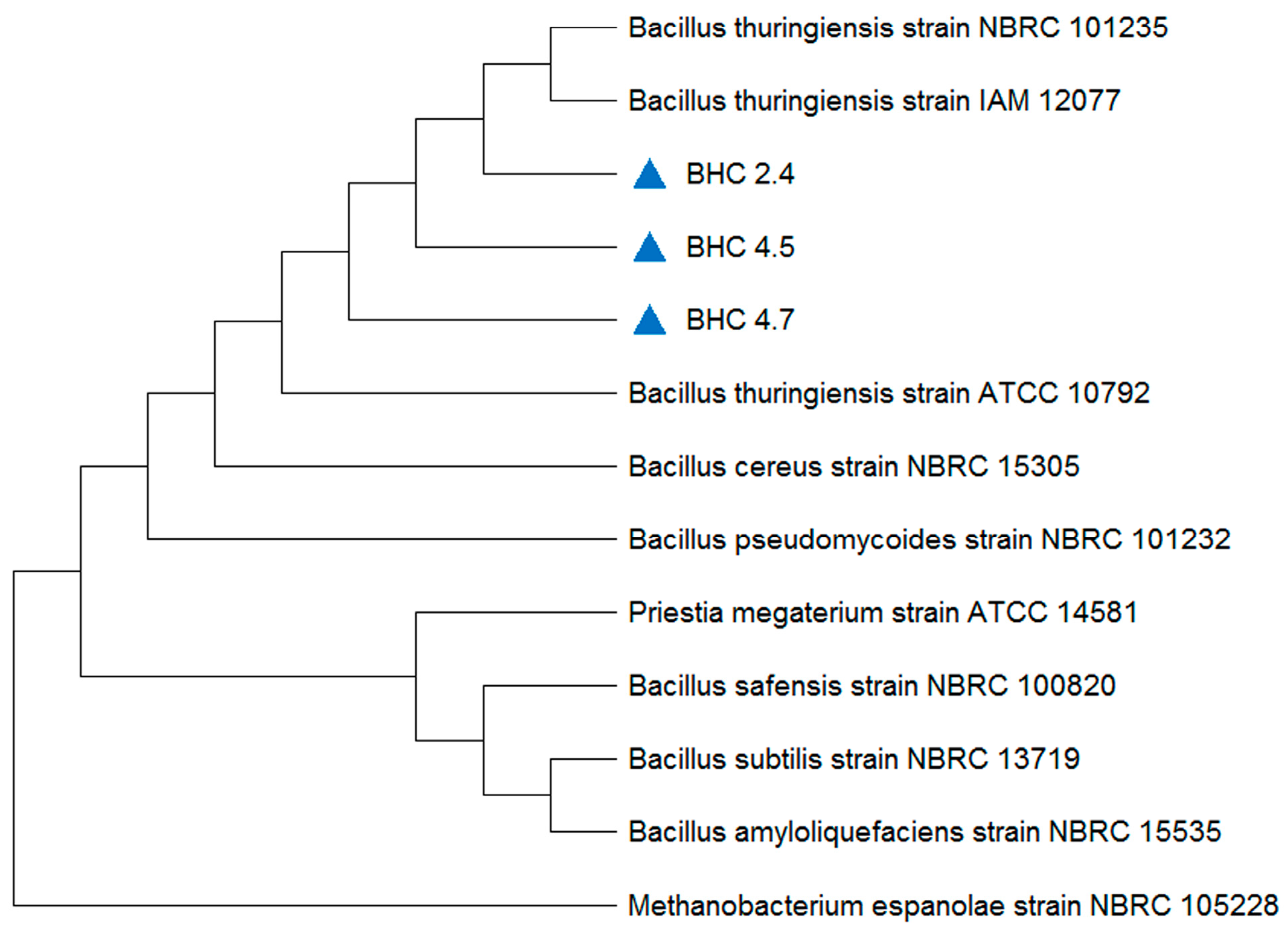 Agriculture 15 02049 g001 Agriculture 15 02049 g001