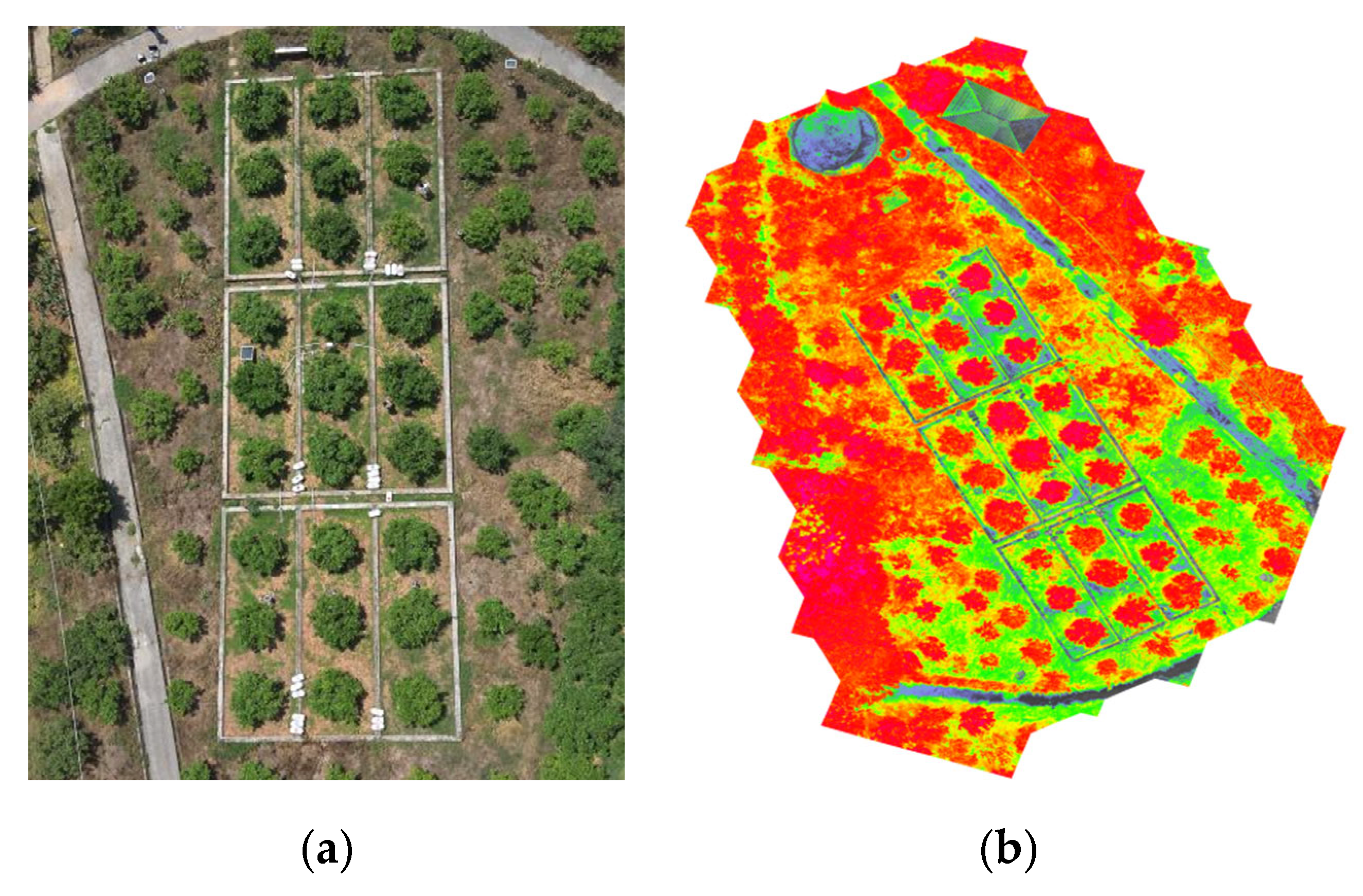 Agriculture 15 02058 g003