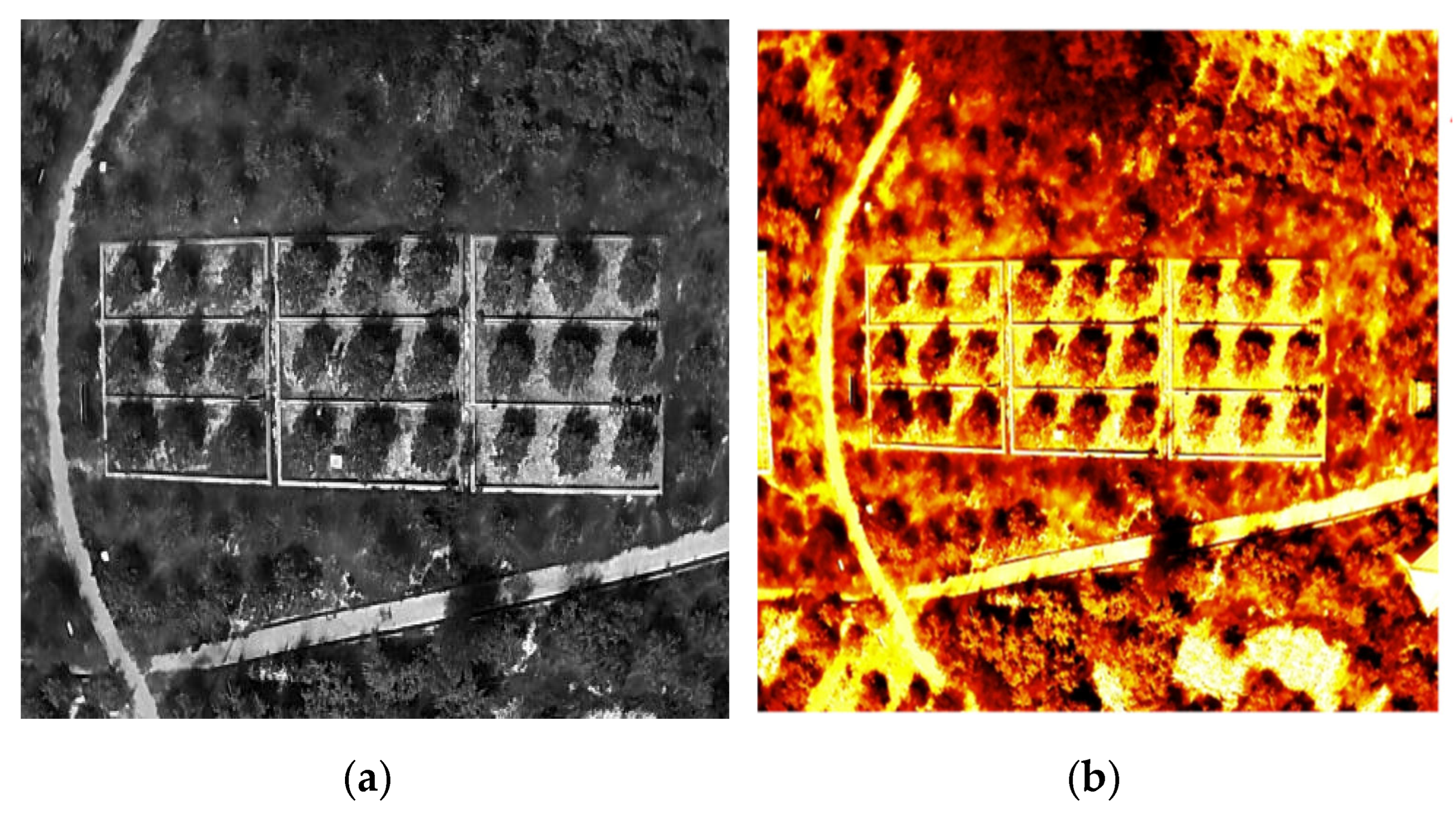 Agriculture 15 02058 g004
