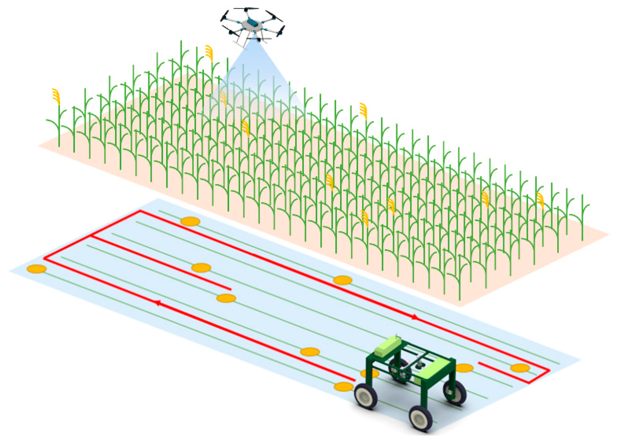 Agriculture 15 02062 g001