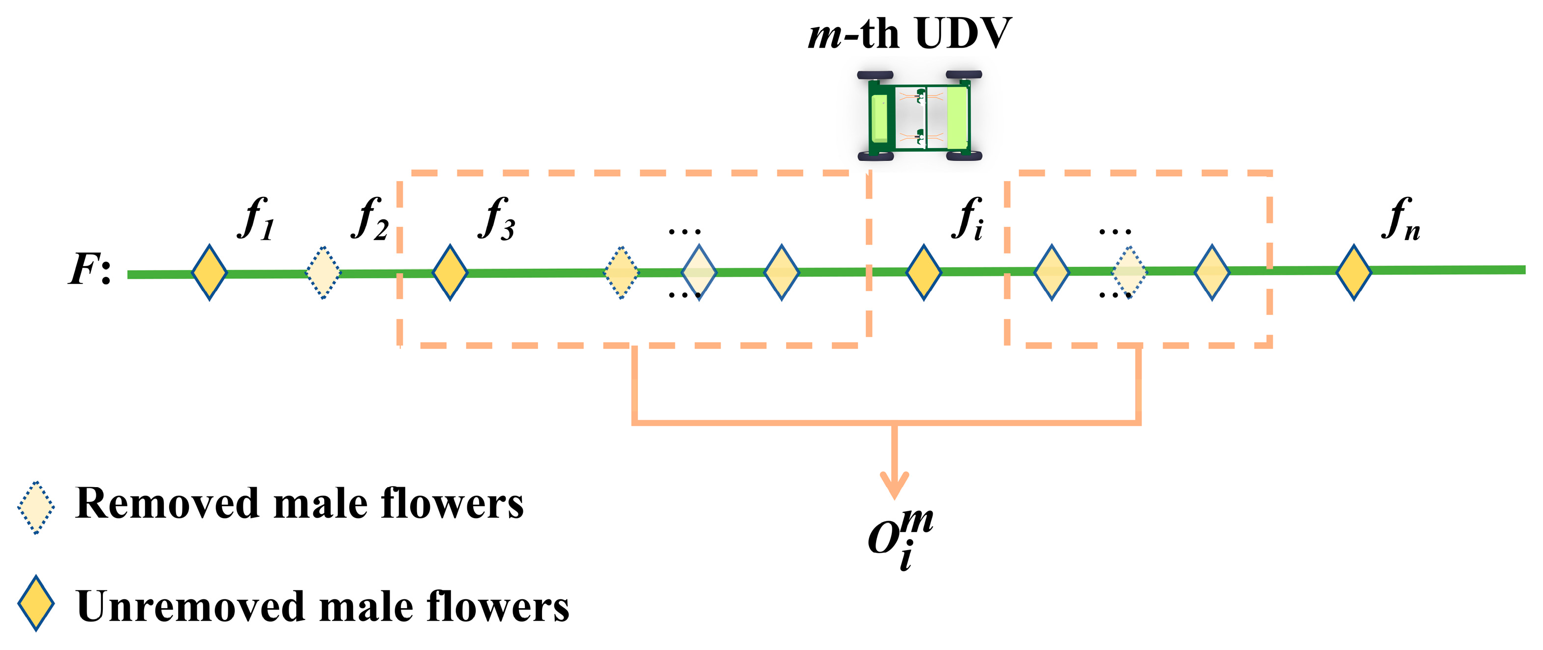 Agriculture 15 02062 g008