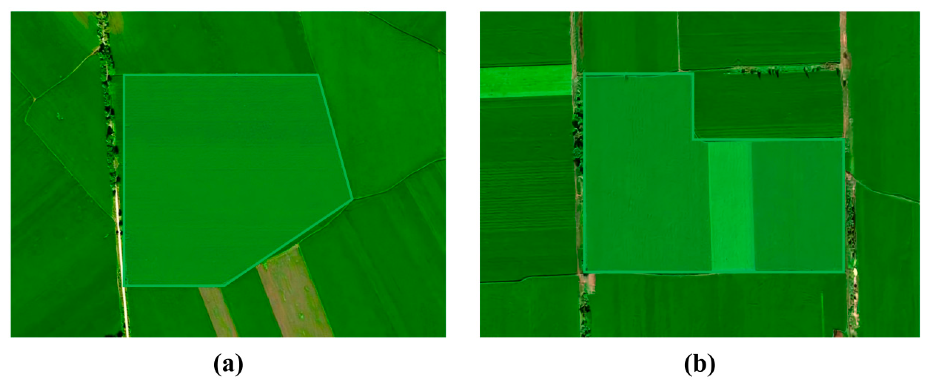 Agriculture 15 02062 g020