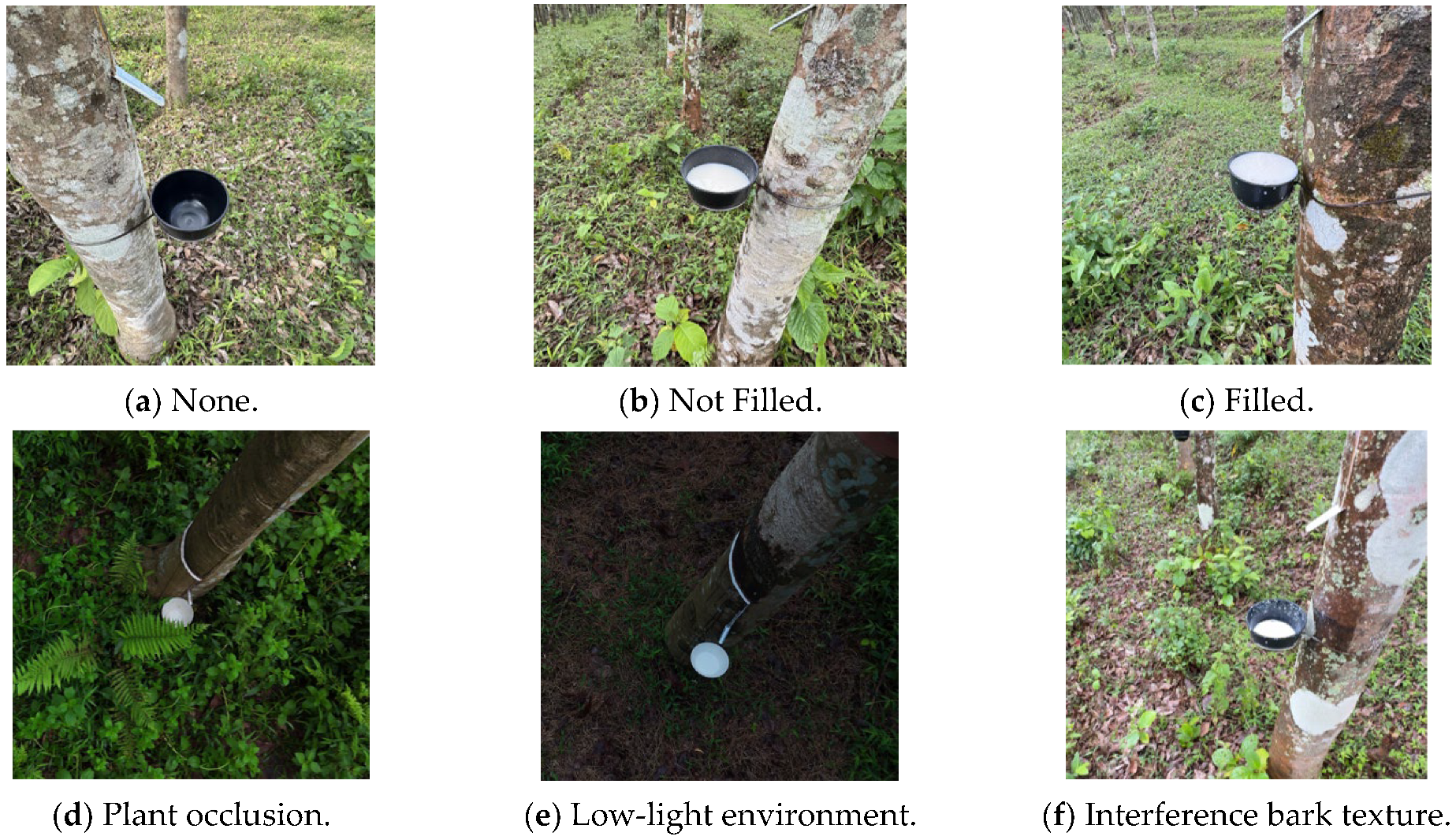 Agriculture 15 02075 g003