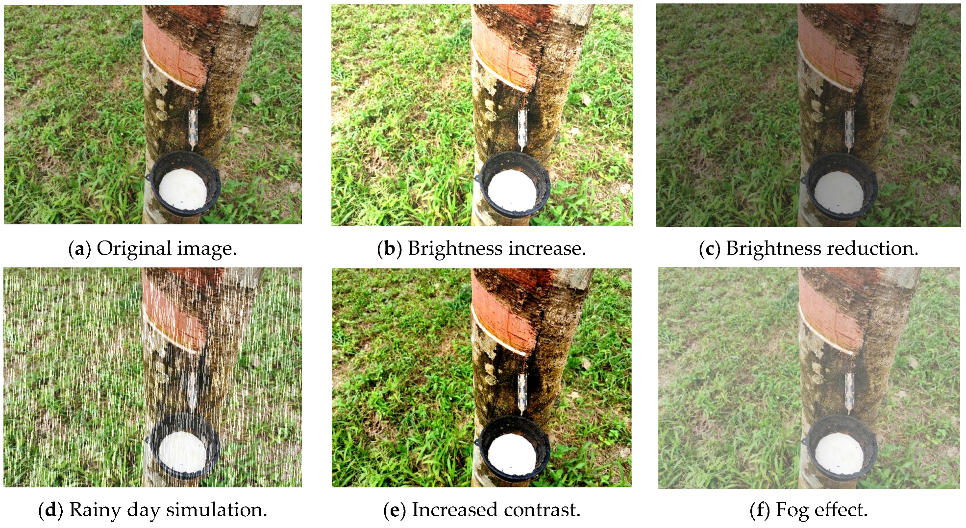 Agriculture 15 02075 g004