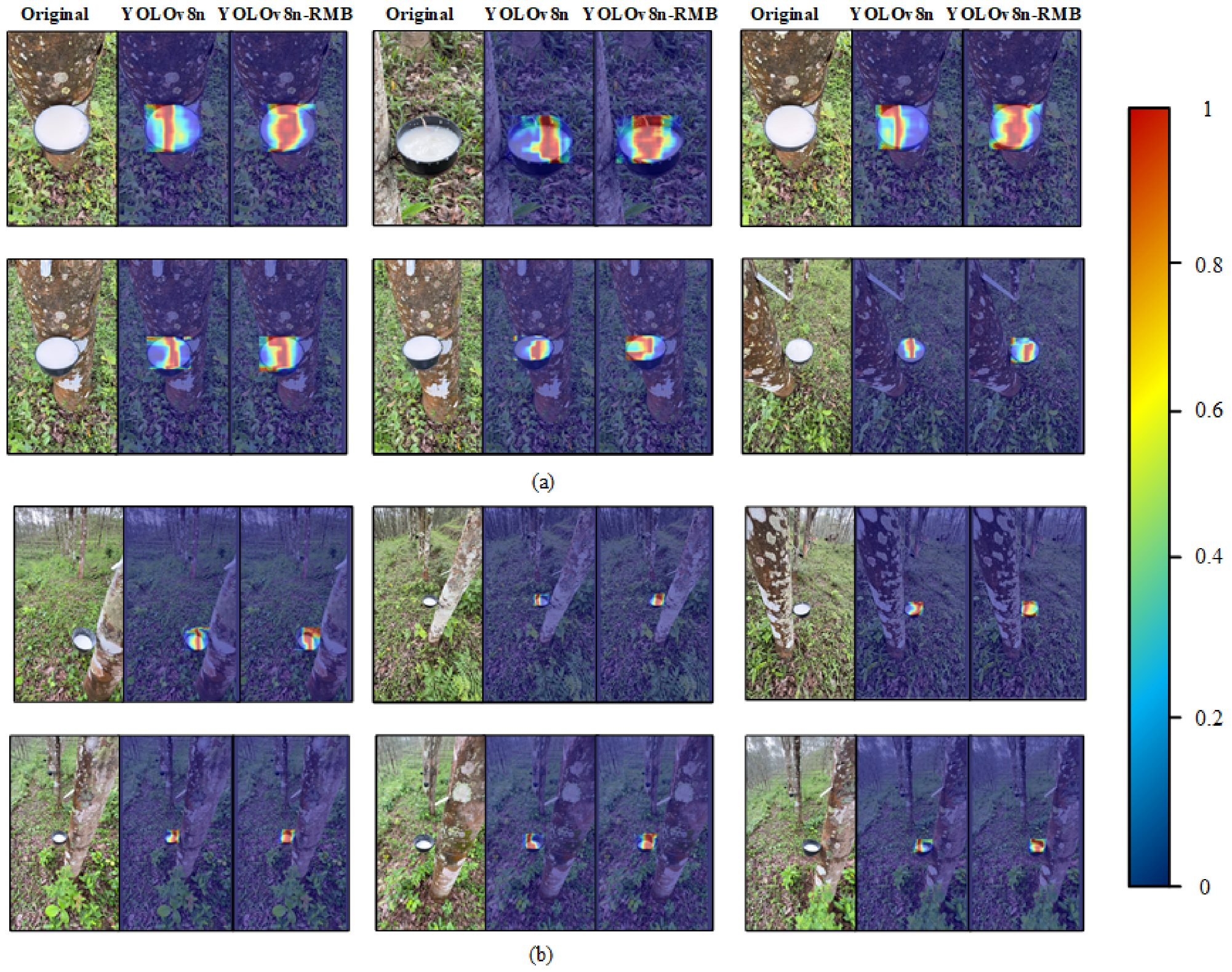 Agriculture 15 02075 g013