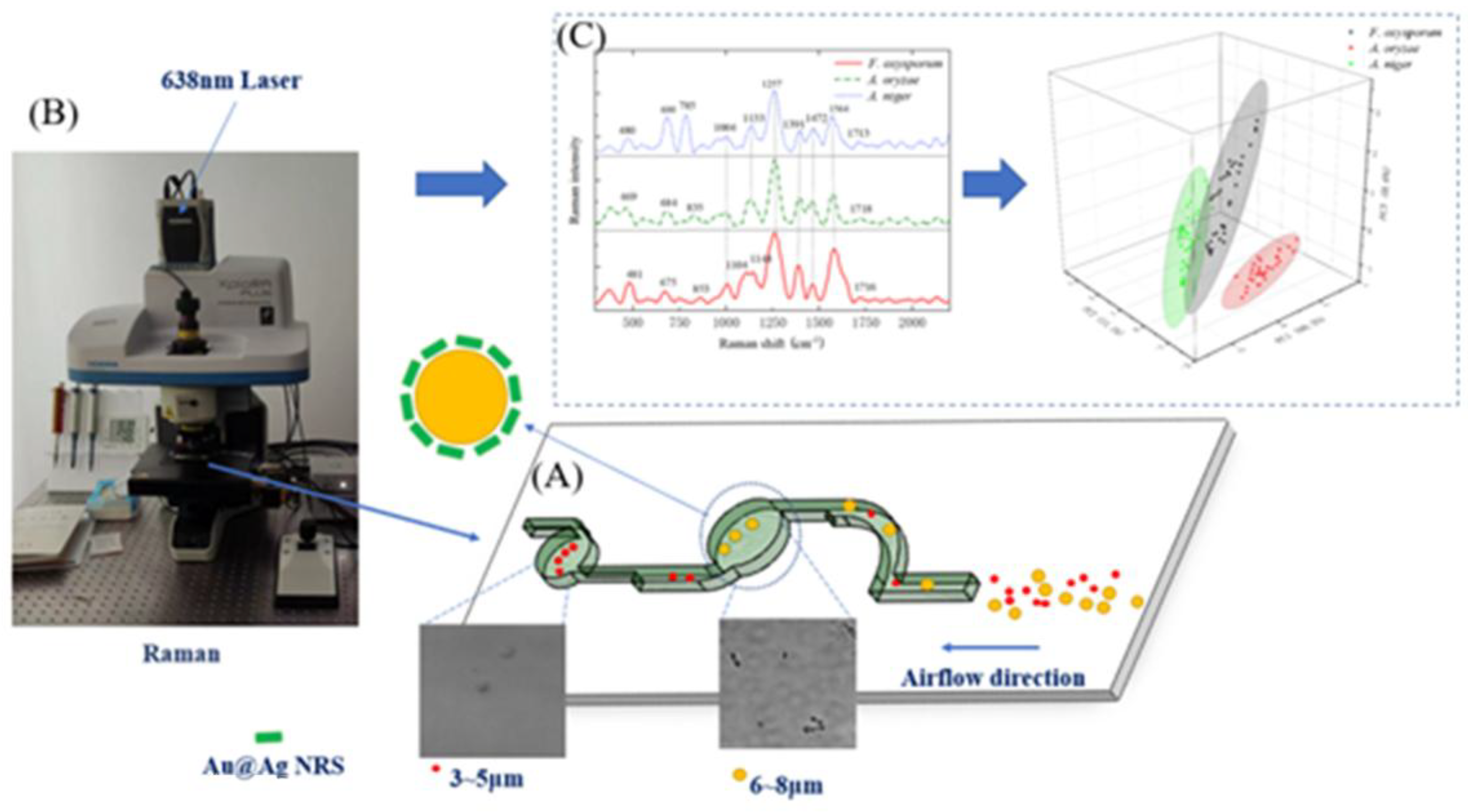 Agriculture 15 02076 g002 Agriculture 15 02076 g002