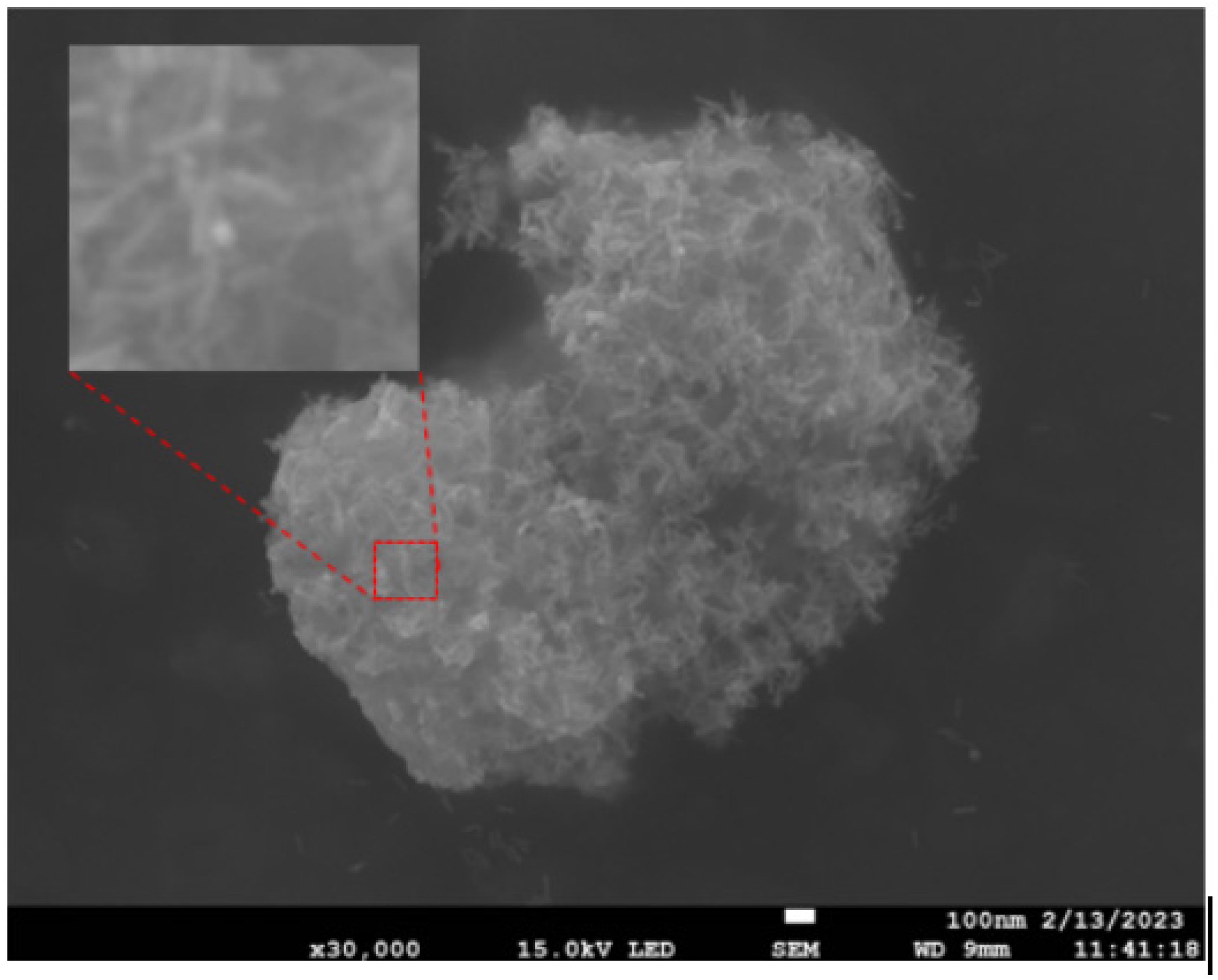 Agriculture 15 02076 g014 Agriculture 15 02076 g014