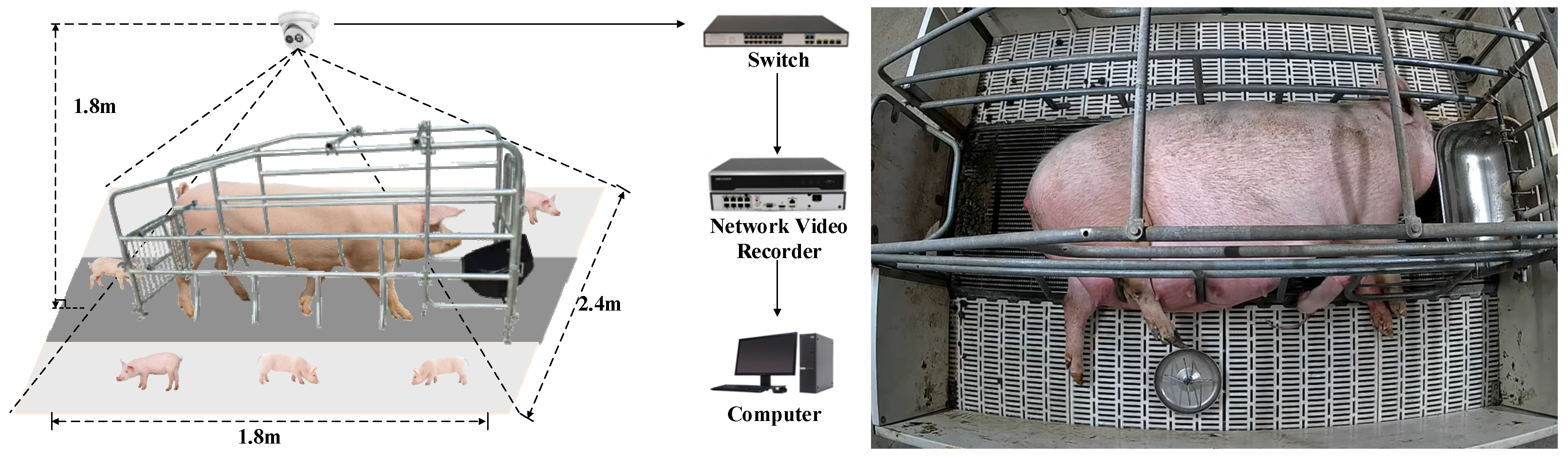 Agriculture 15 02087 g001 Agriculture 15 02087 g001