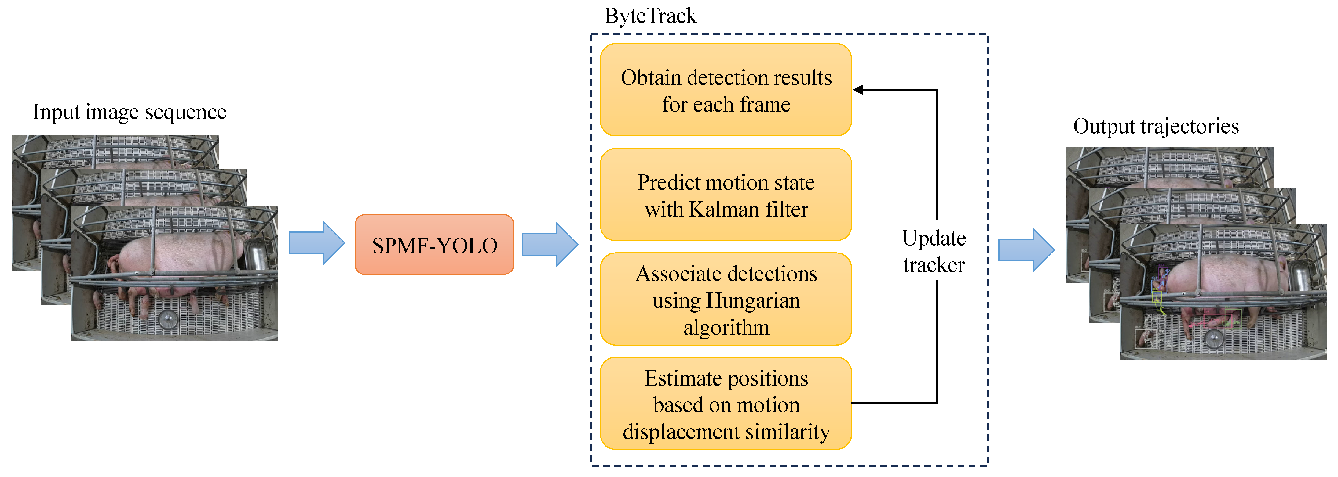 Agriculture 15 02087 g005 Agriculture 15 02087 g005
