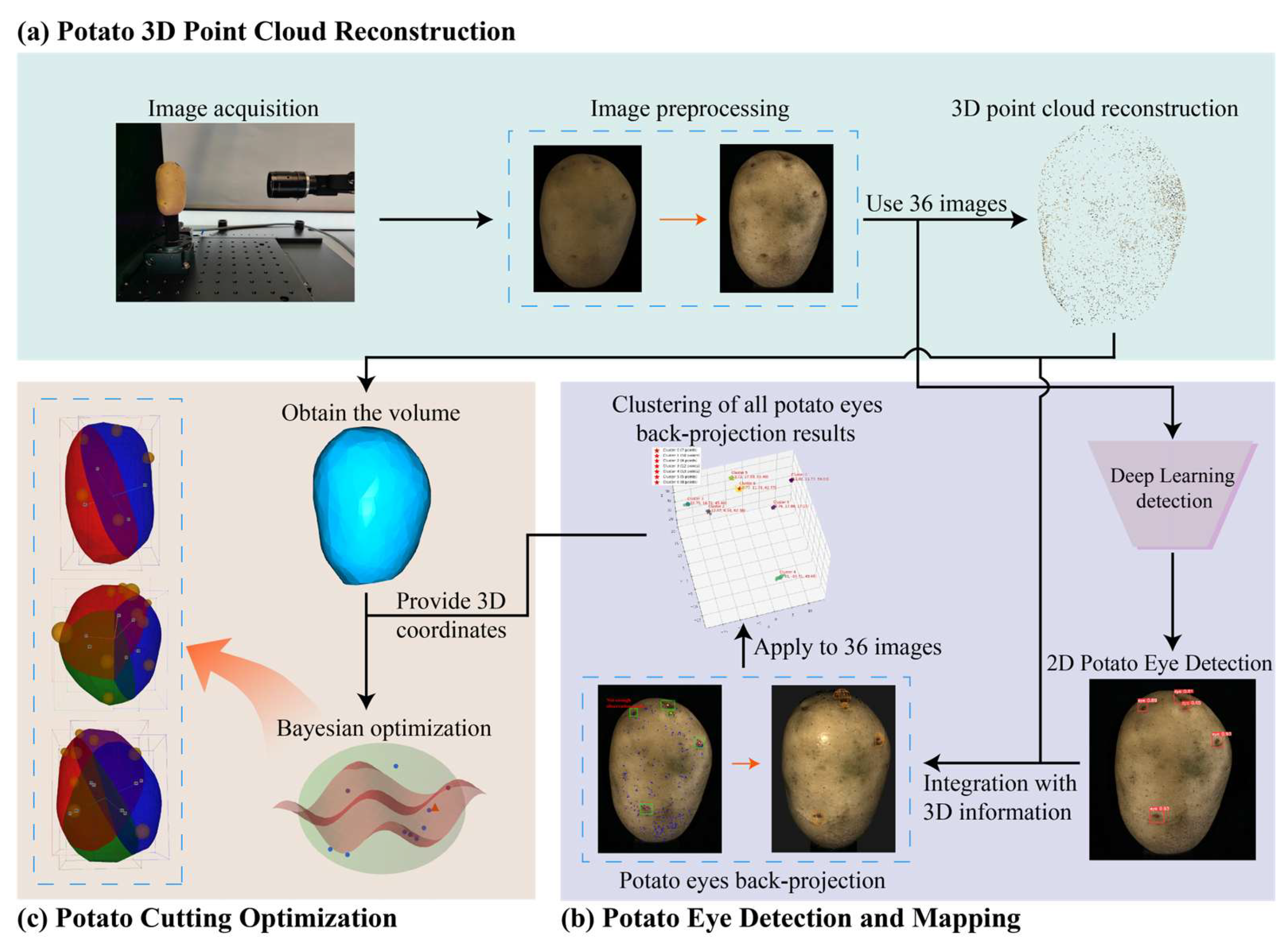Agriculture 15 02088 g001 Agriculture 15 02088 g001
