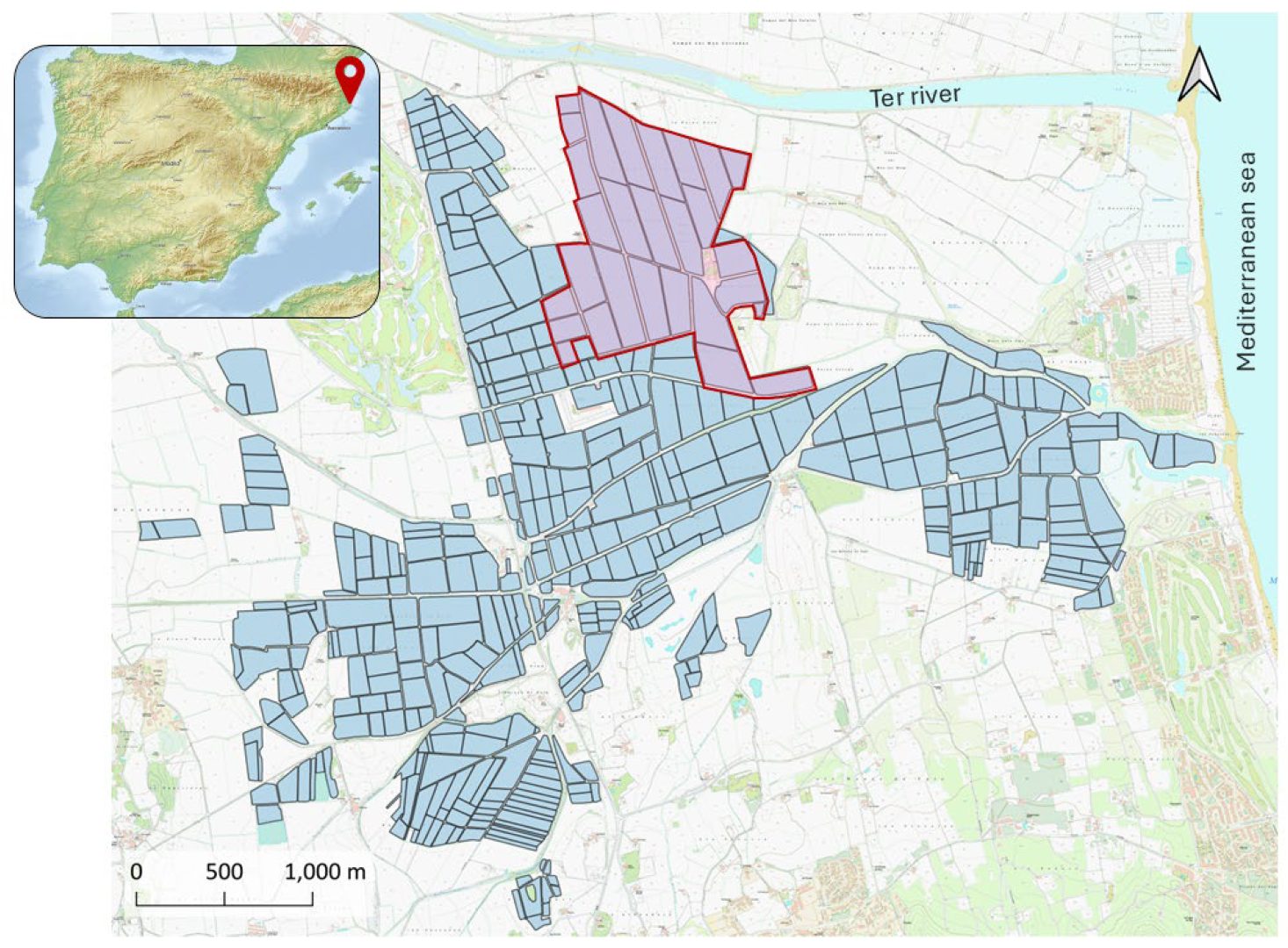 Agriculture 15 02089 g001 Agriculture 15 02089 g001
