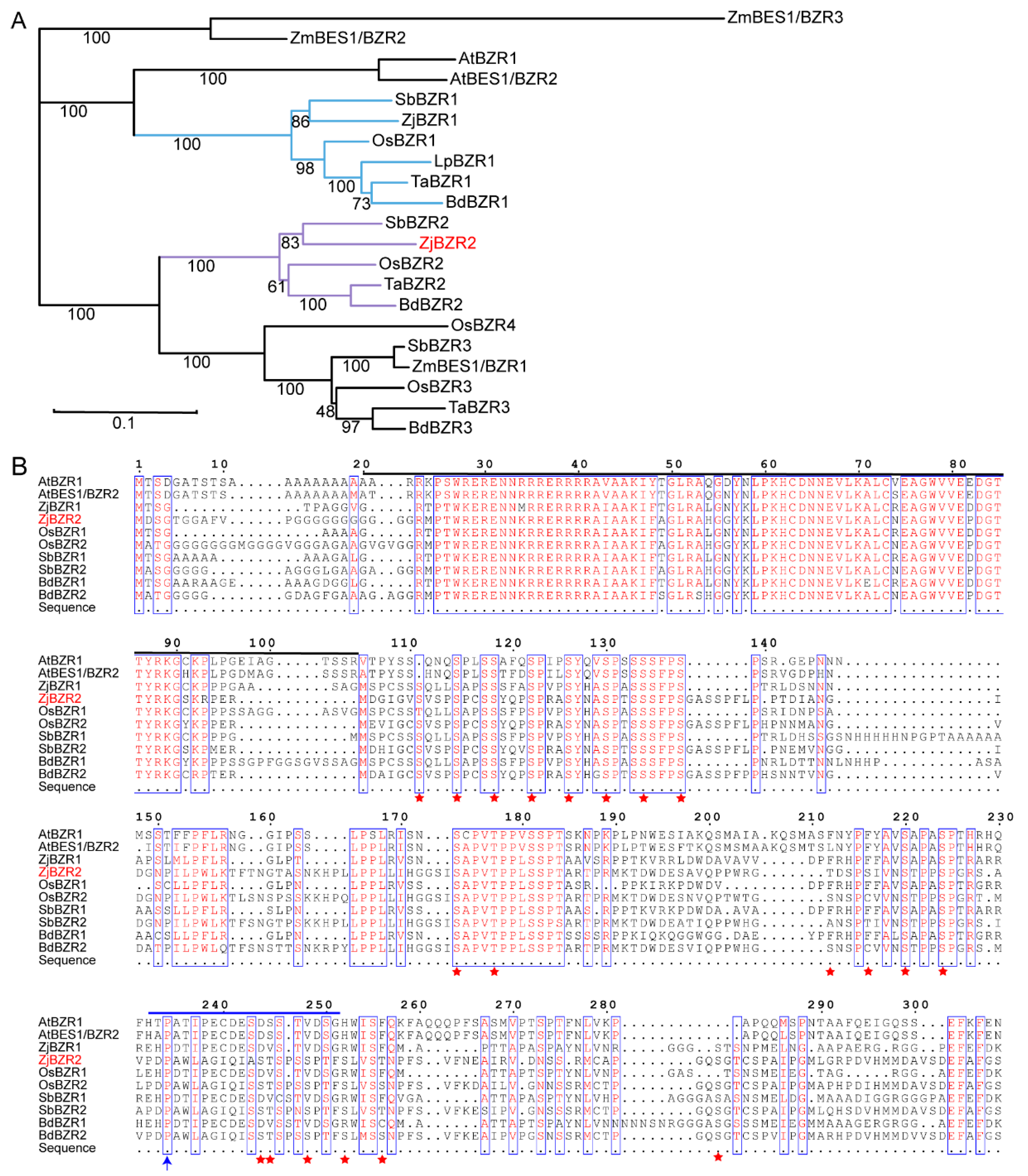 Agriculture 15 02091 g001