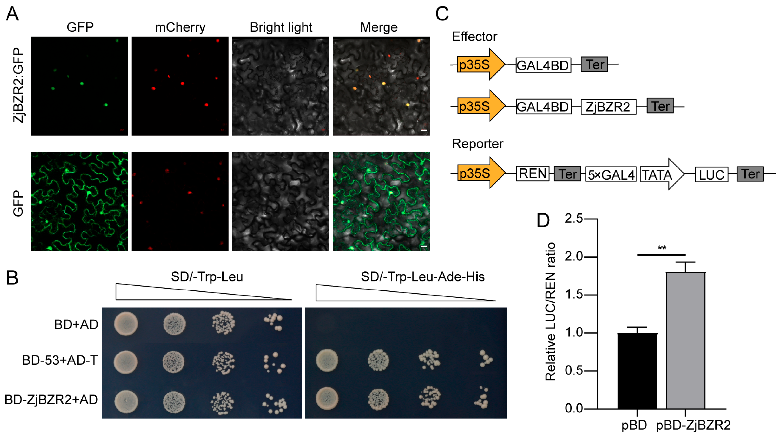 Agriculture 15 02091 g002