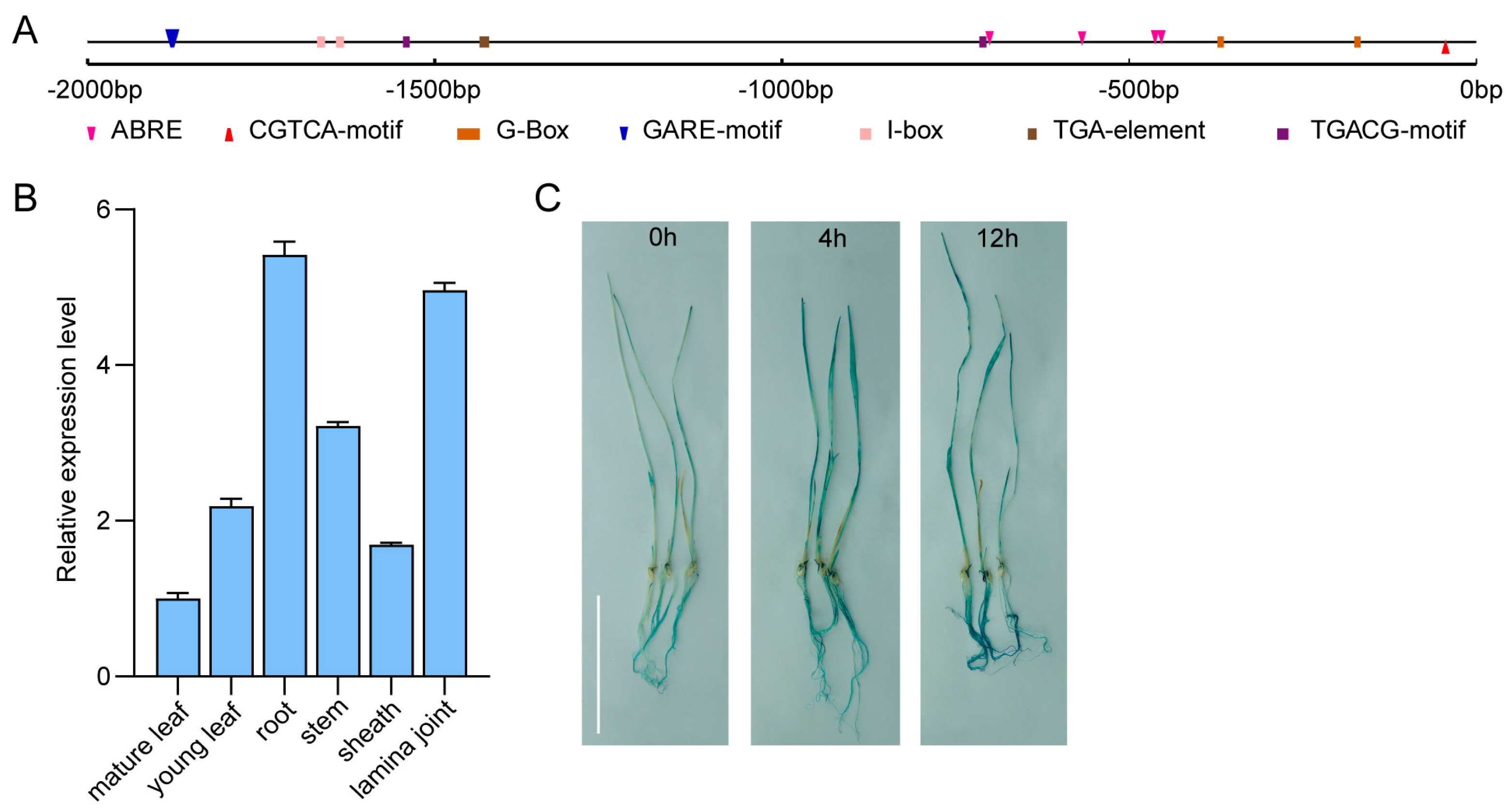 Agriculture 15 02091 g003
