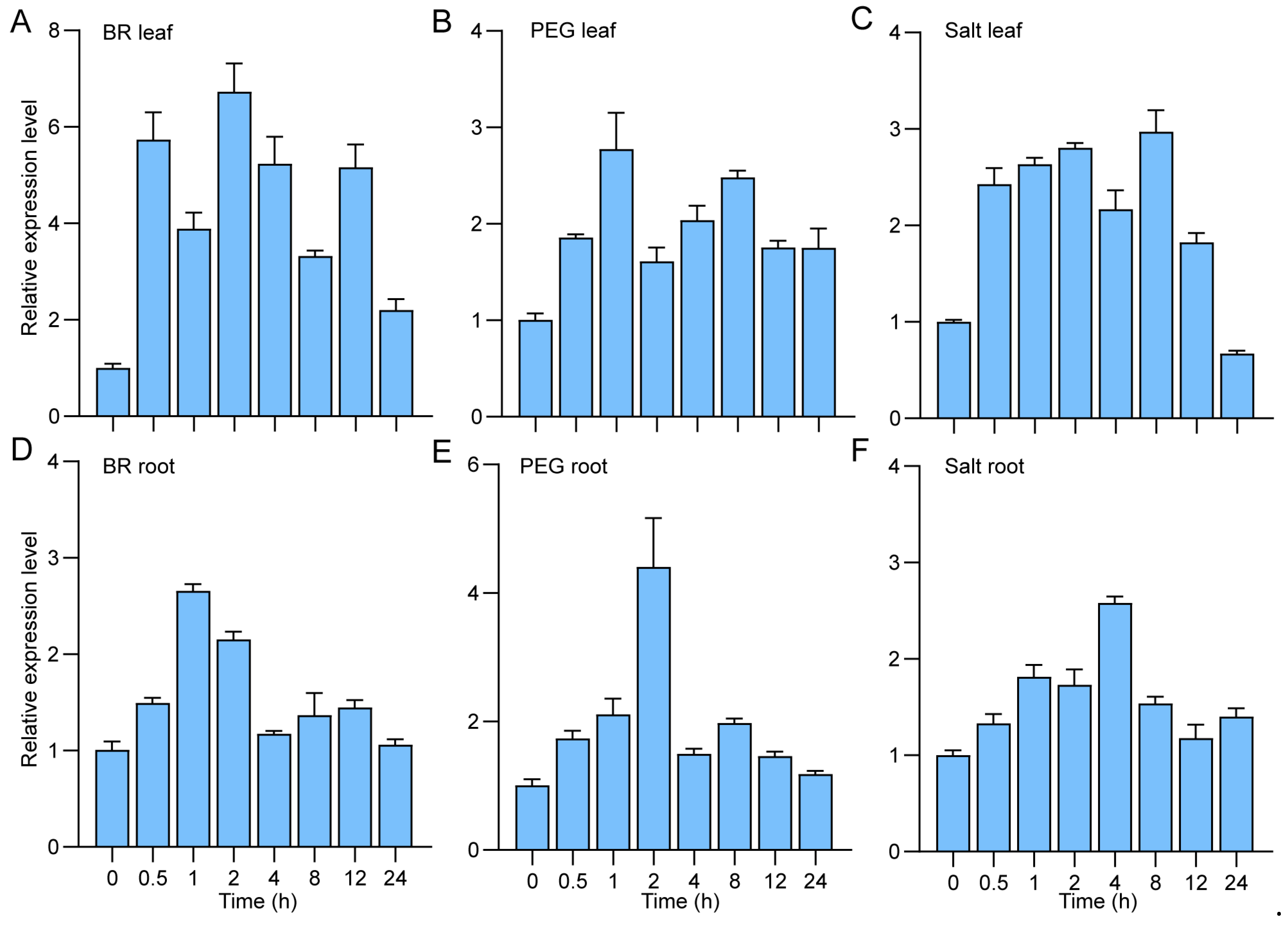 Agriculture 15 02091 g004