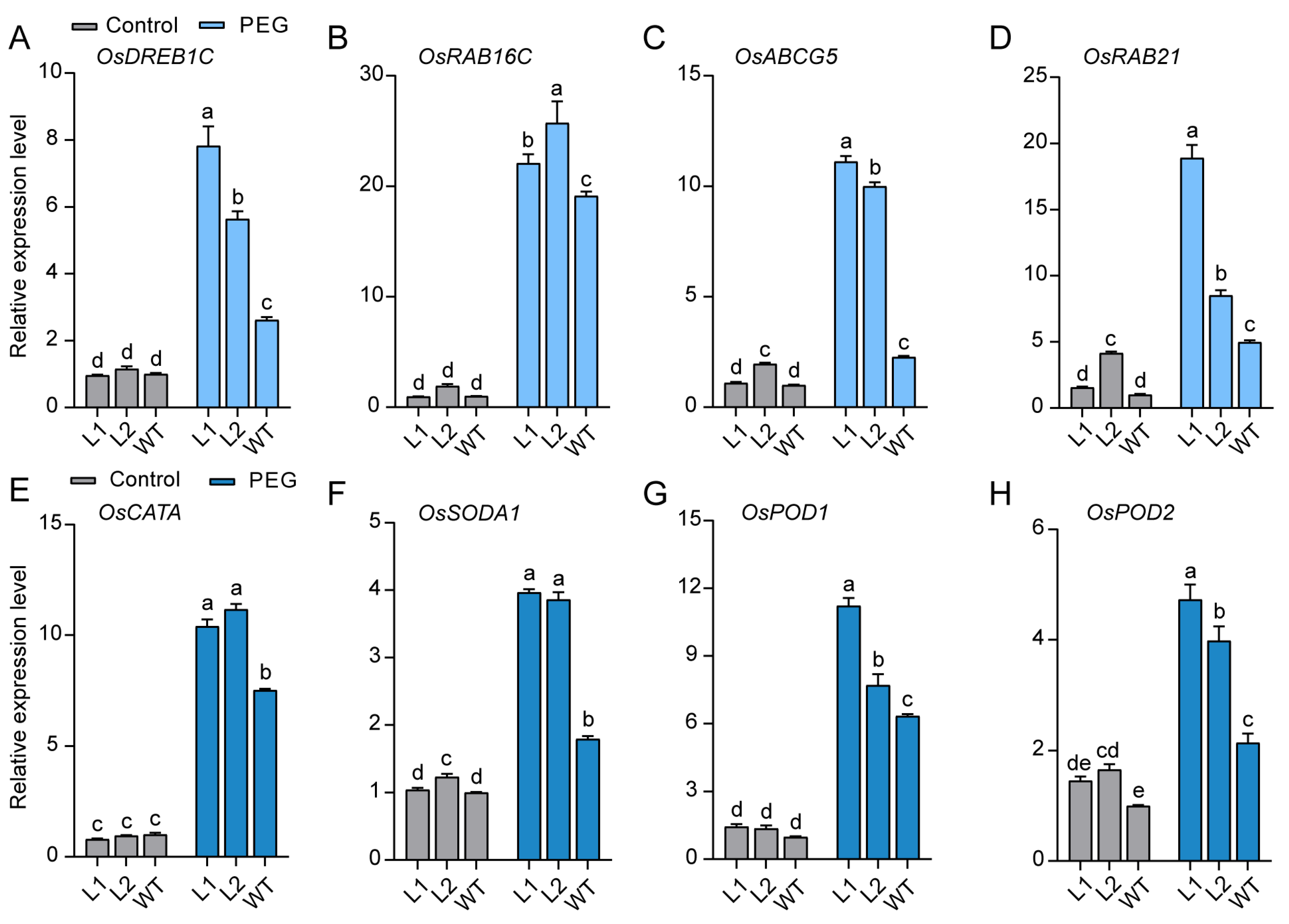 Agriculture 15 02091 g008