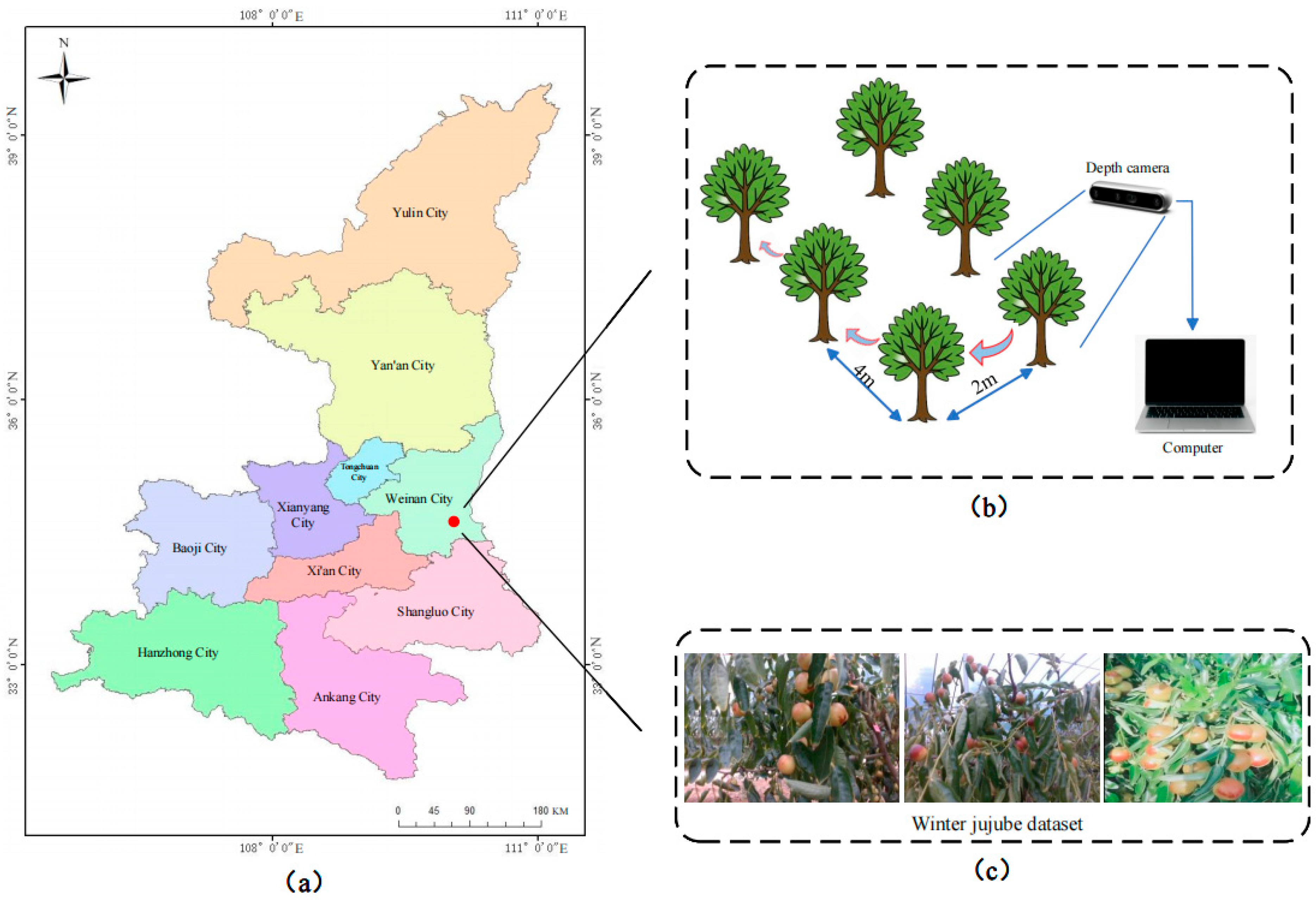 Agriculture 15 02092 g001
