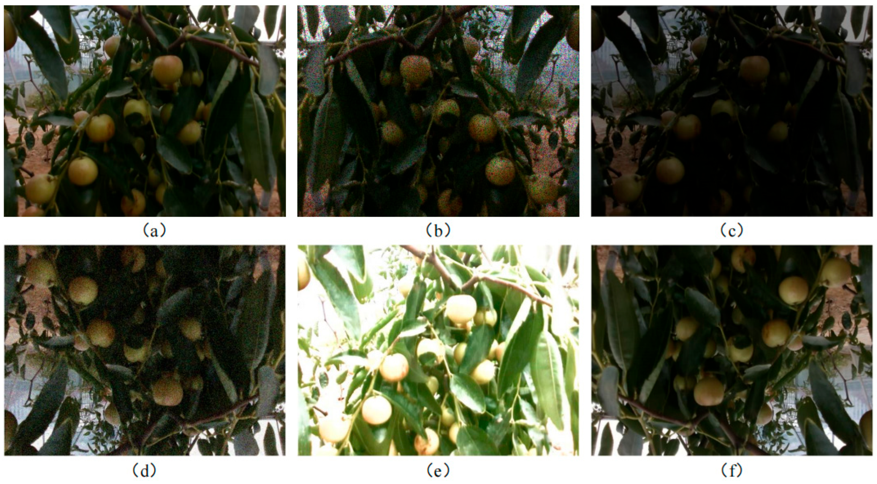 Agriculture 15 02092 g002