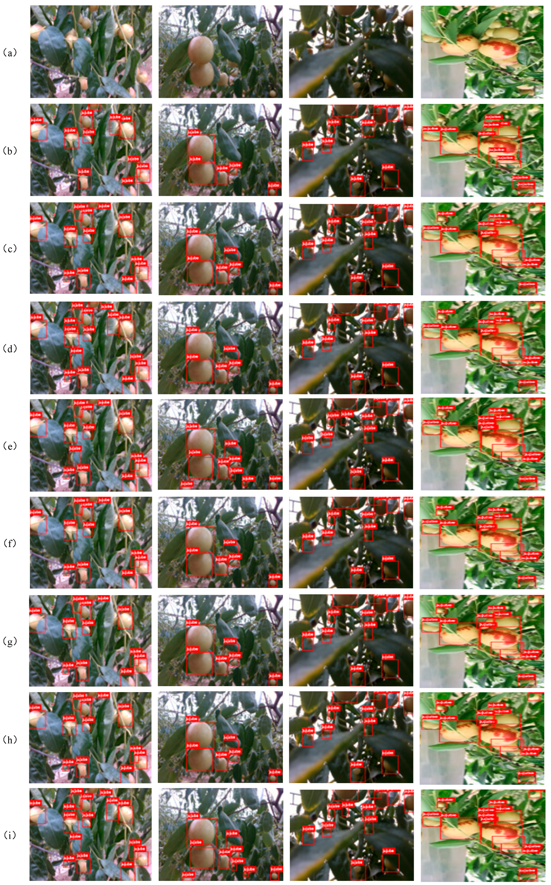 Agriculture 15 02092 g012